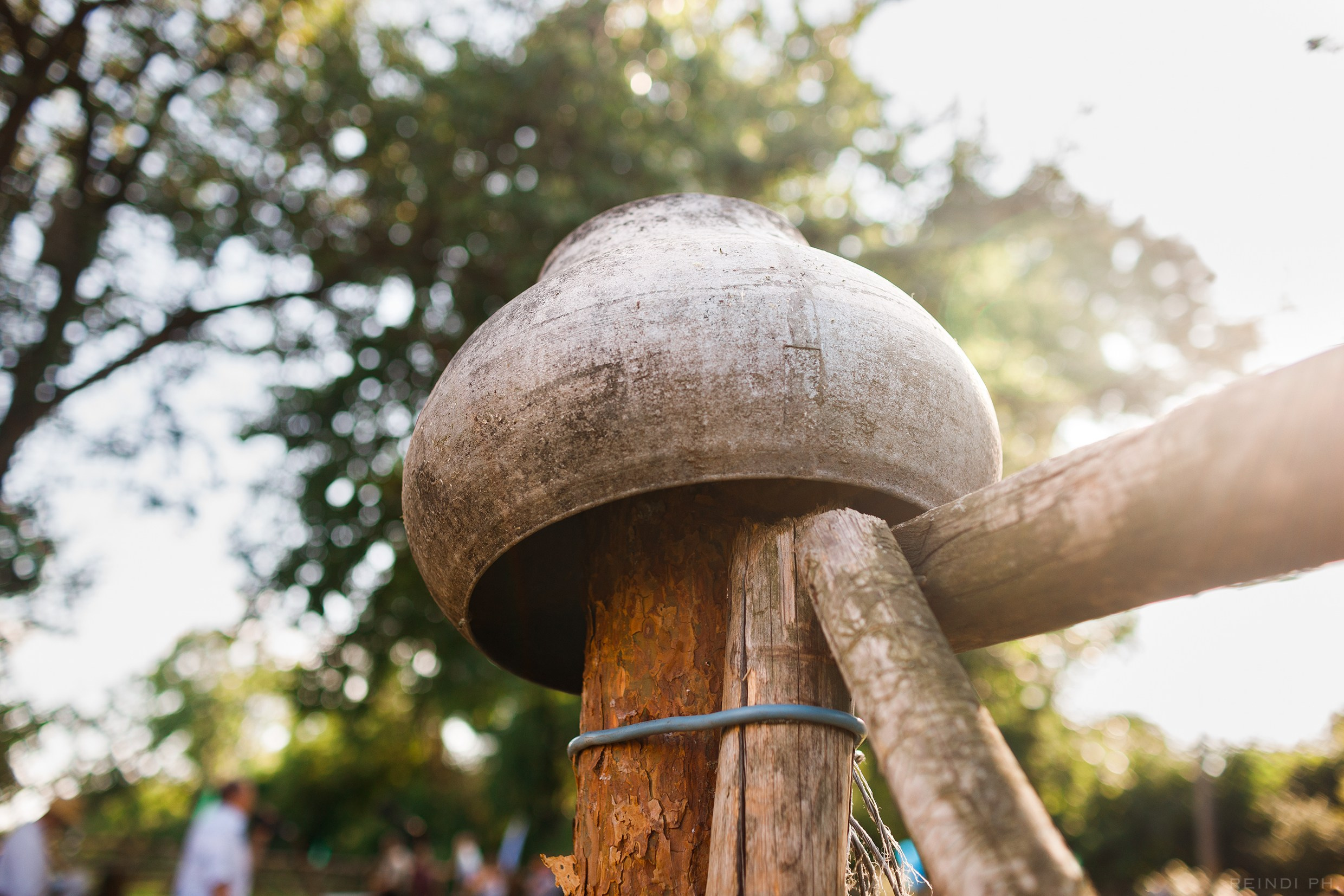 Horse show in the village. Kaja | fotograf we Wrocławiu | ludzie i psy
