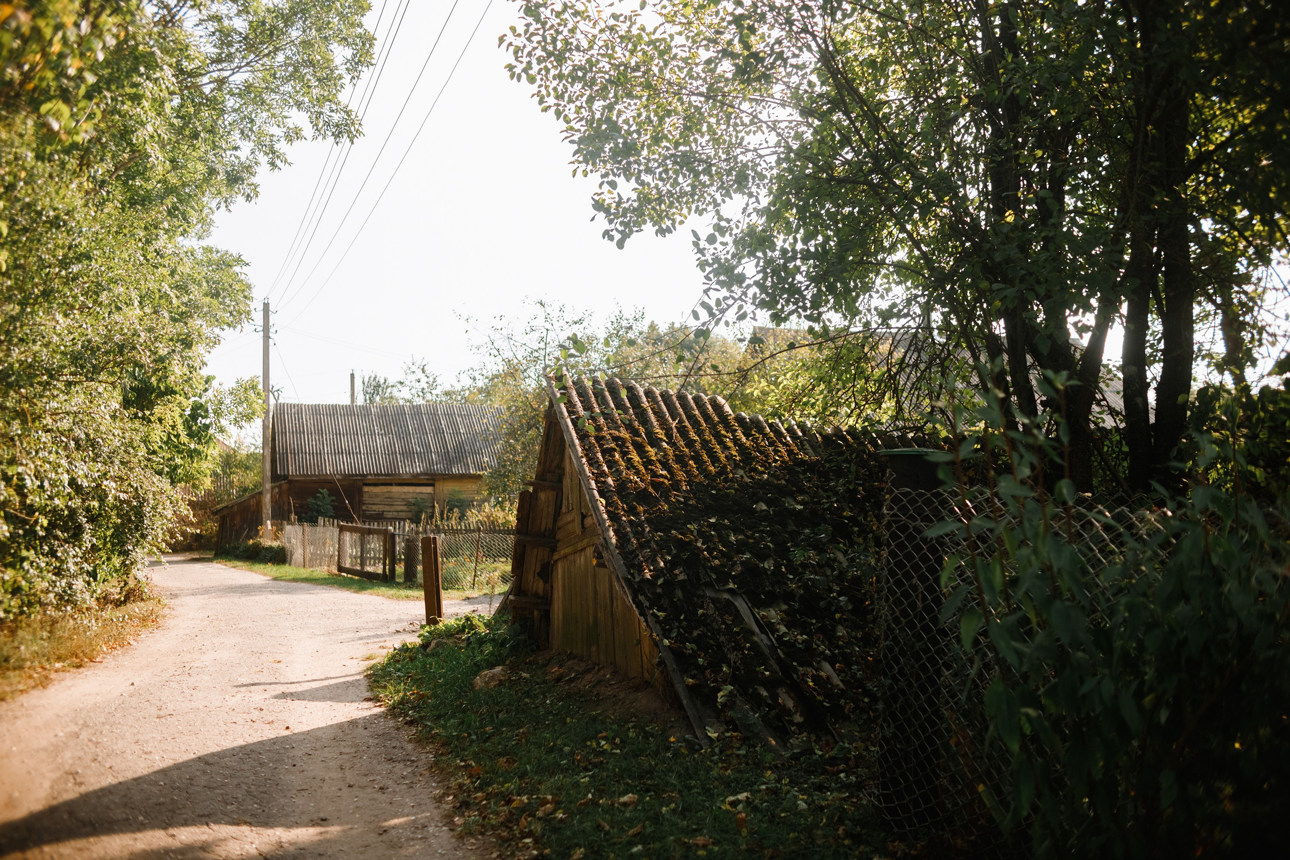 One small village in Grodno region. Kaja | fotograf we Wrocławiu | ludzie i psy