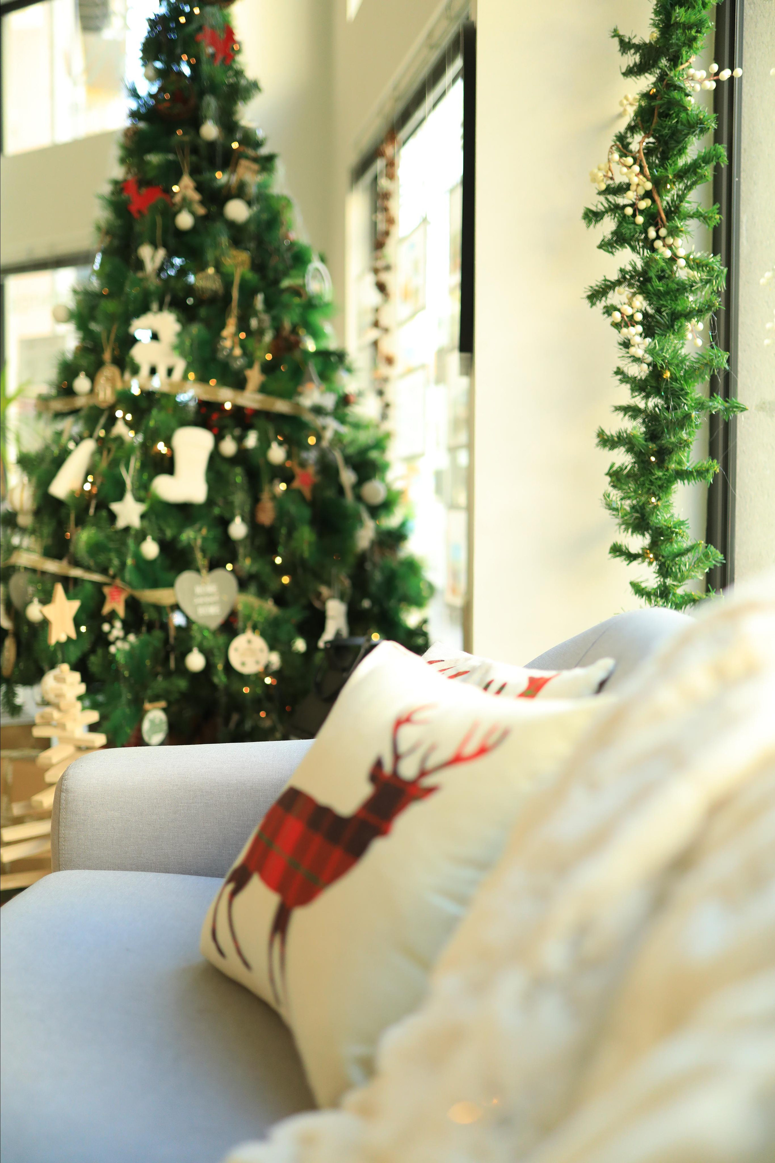 Sesiones de Navidad en Jaca. Fotografía de Eventos, Embarazo y Familiar en Pirineos