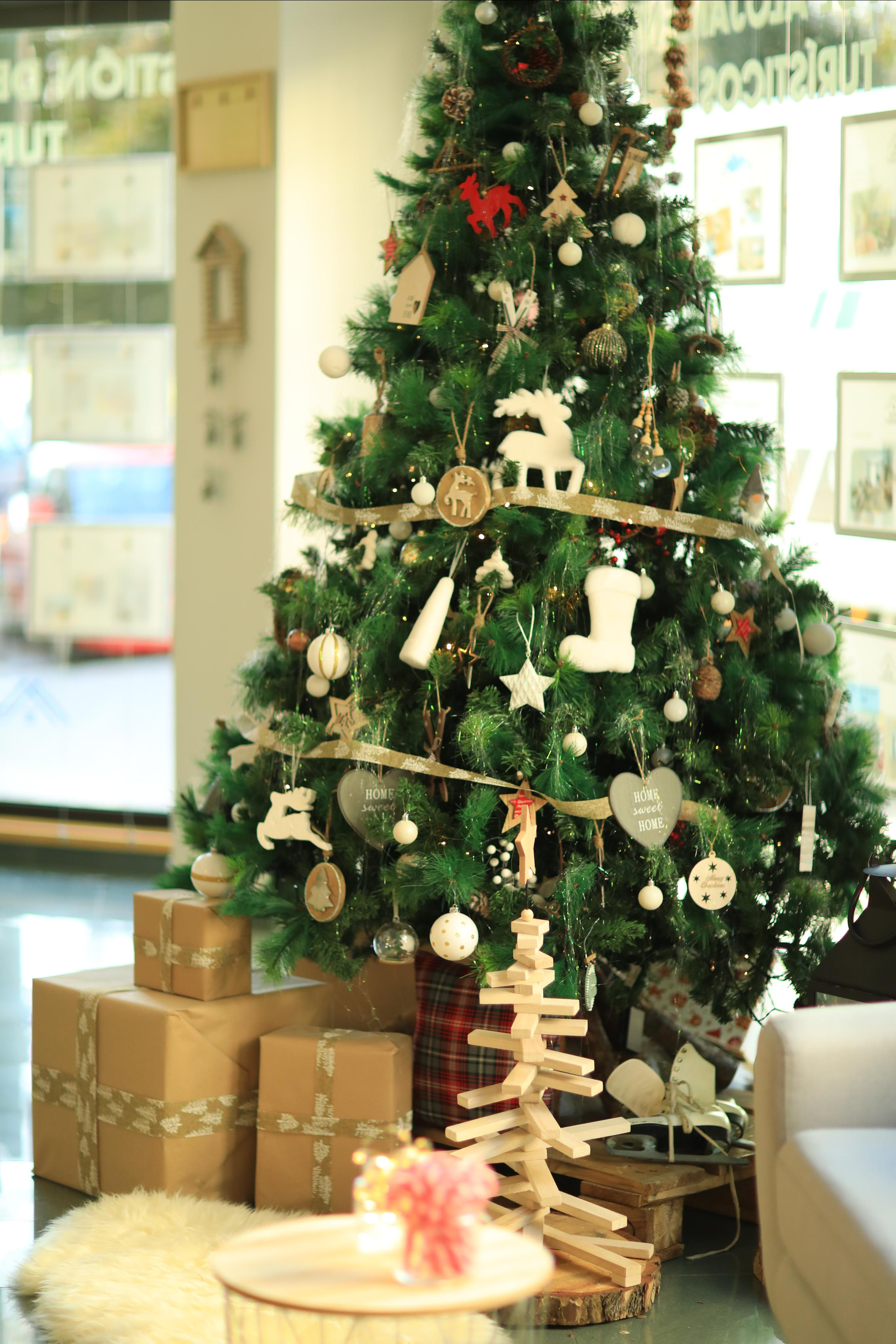 Sesiones de Navidad en Jaca. Fotografía de Eventos, Embarazo y Familiar en Pirineos