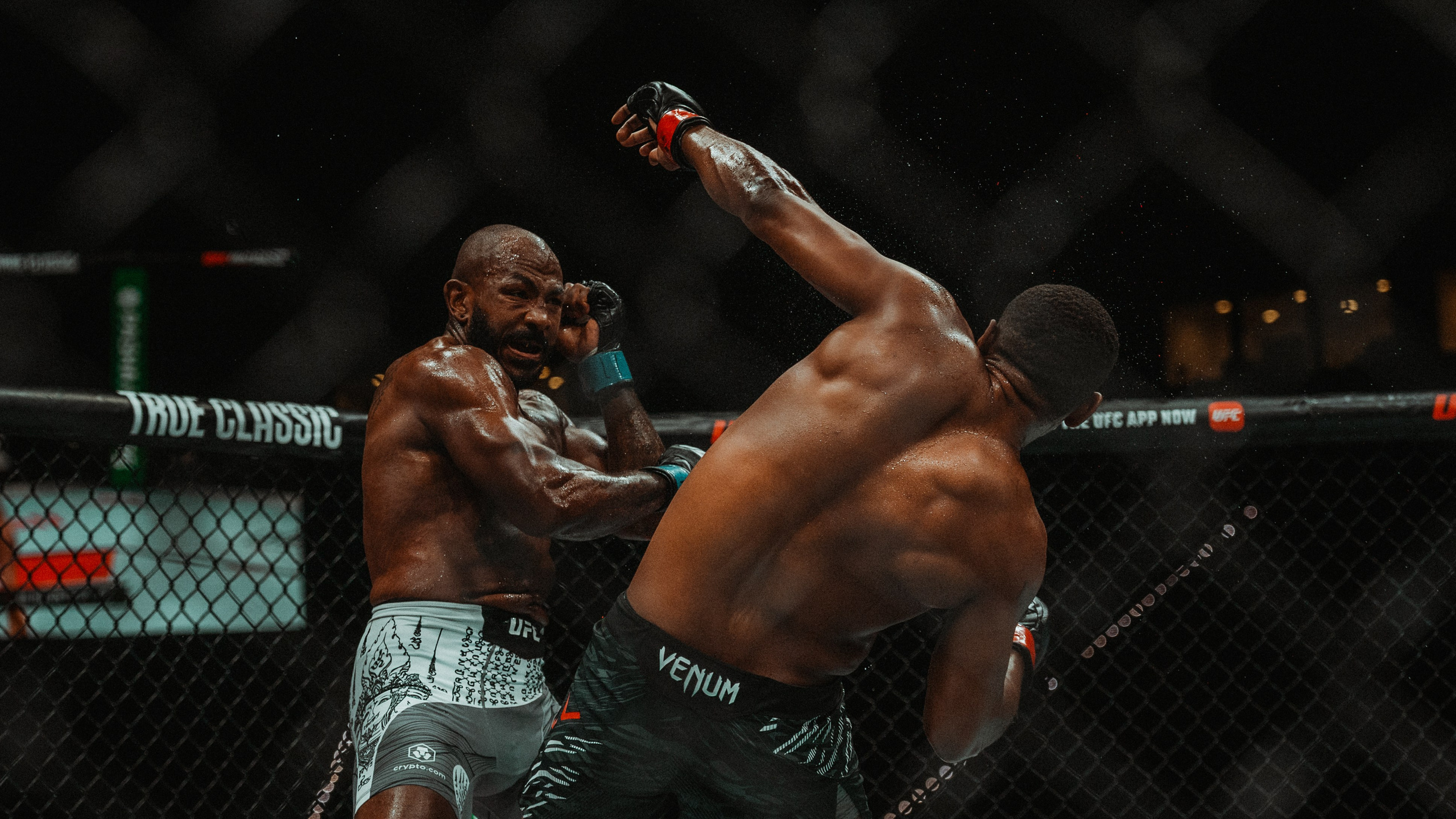 UFC. Commercial and Event photographer Eltaj