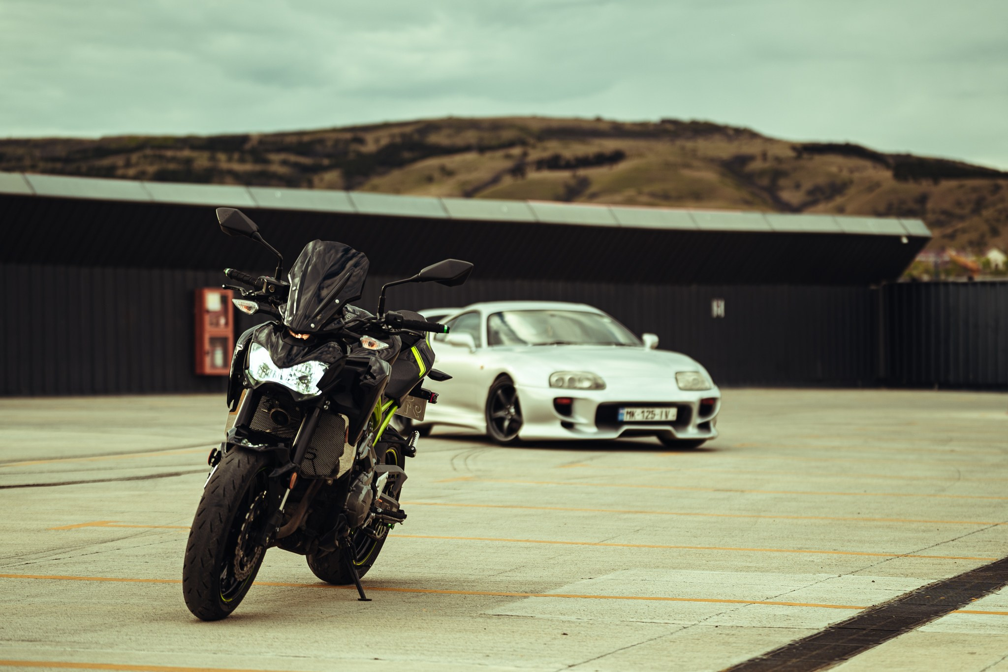 DAVID’S CONTENT. Merabi Eminashvili