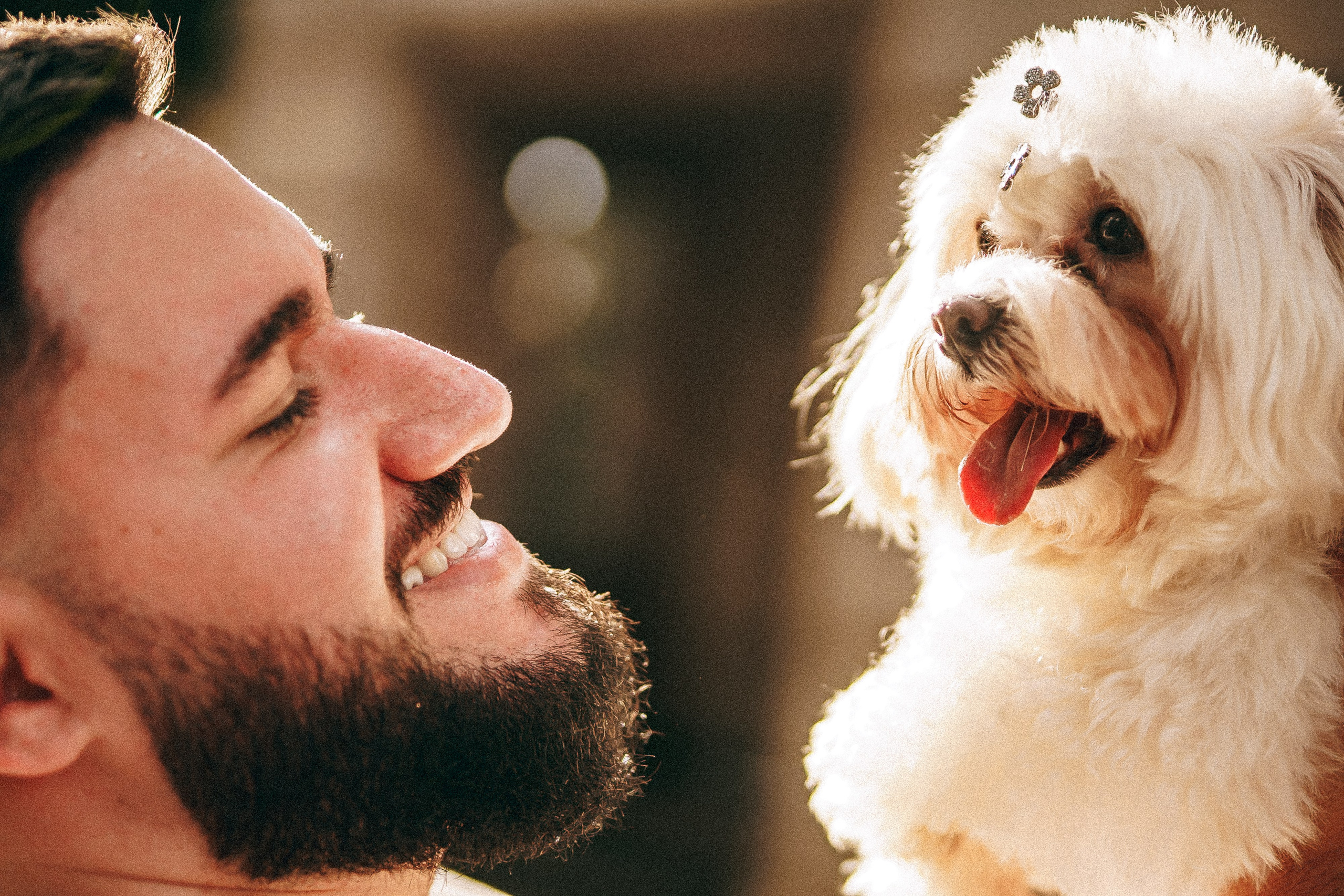 Pré Wedding — Laysla e Bruno (Urbano). Fotógrafo de casamento e Filmmaker de casamento