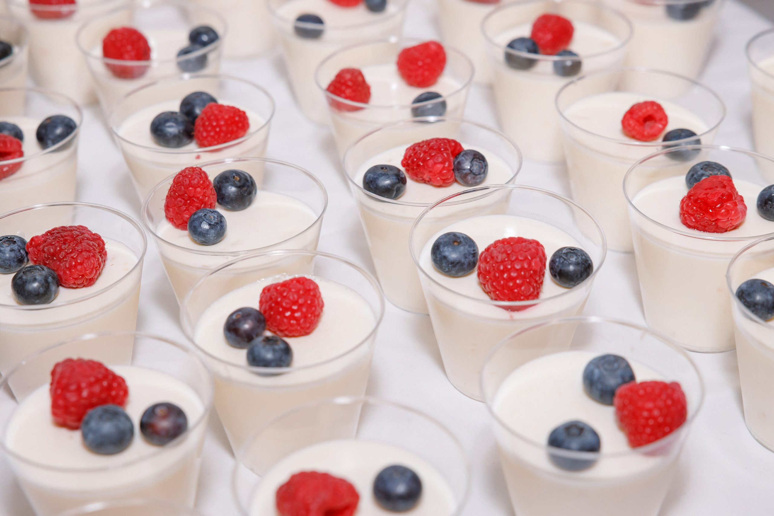 ONE. Family and Event photographer in Bay Area Elena Tiuriumina