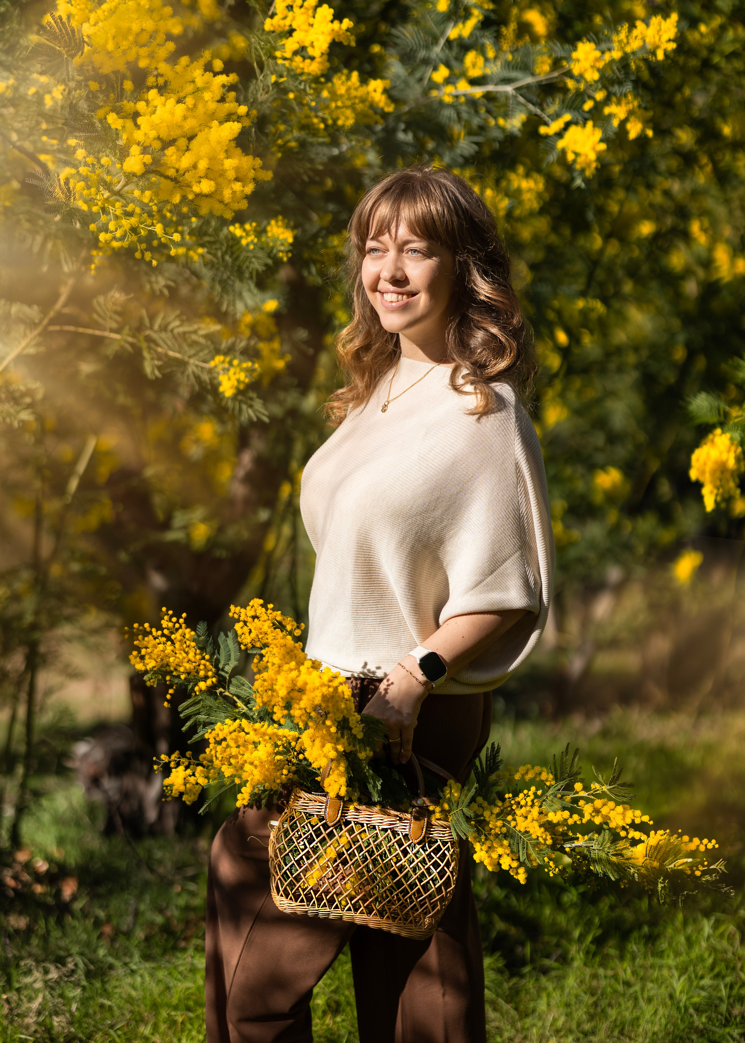 Mimosa. Photographer in Munich