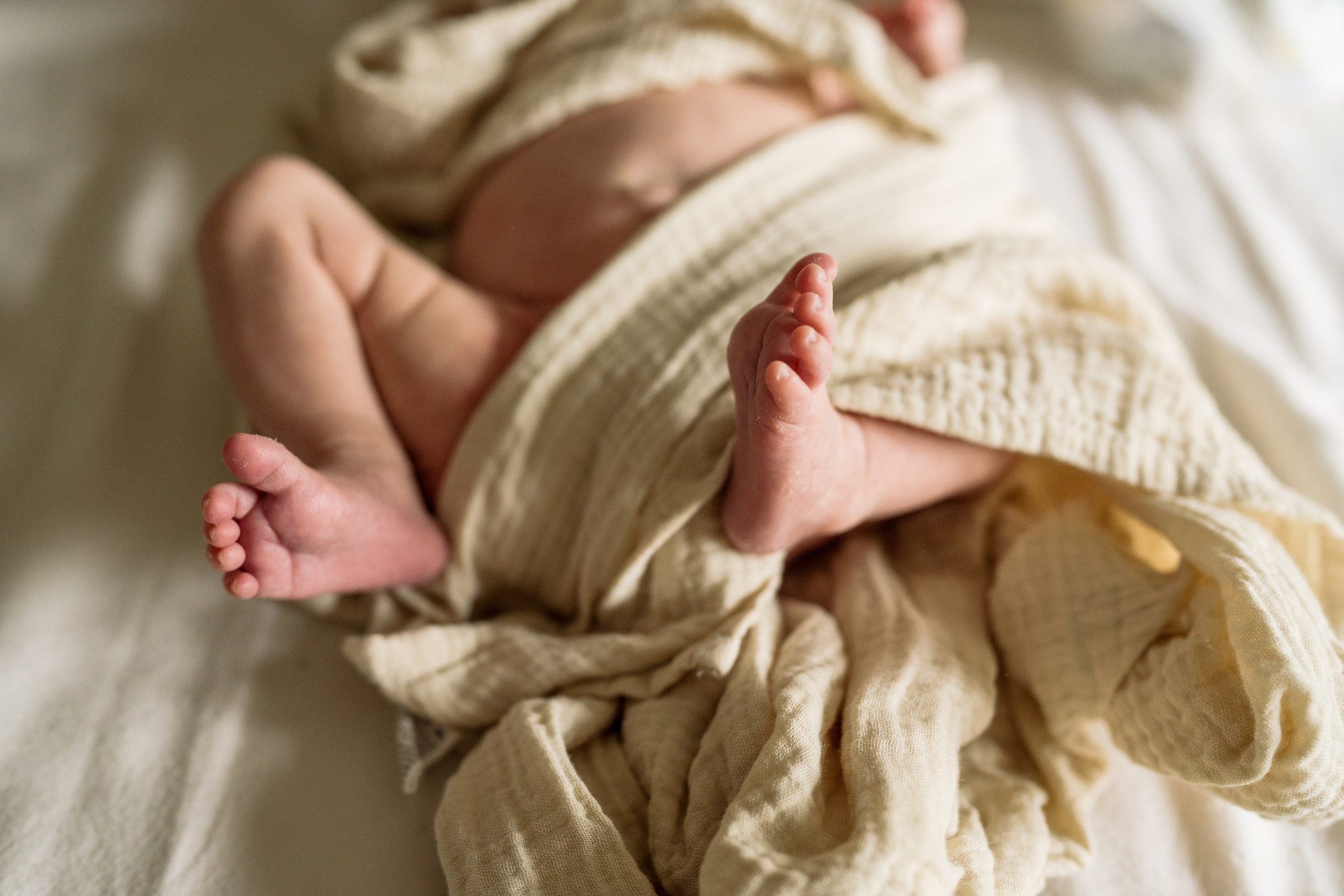 Sara, Henry, Landon, Oliver, Mila, Isla. Wedding and family photographer and videographer PA, NJ, NY, DE, MD