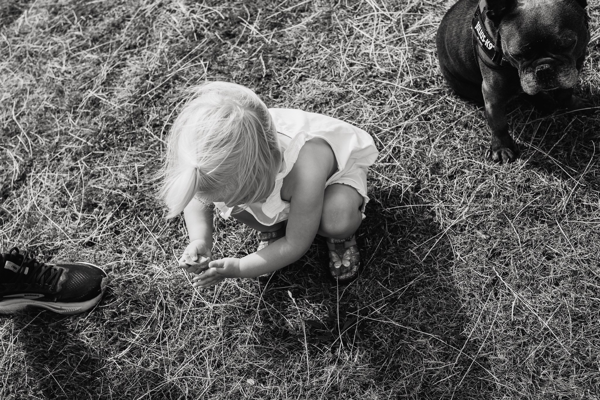 Outdoor Family. Newborn & Family Photographer