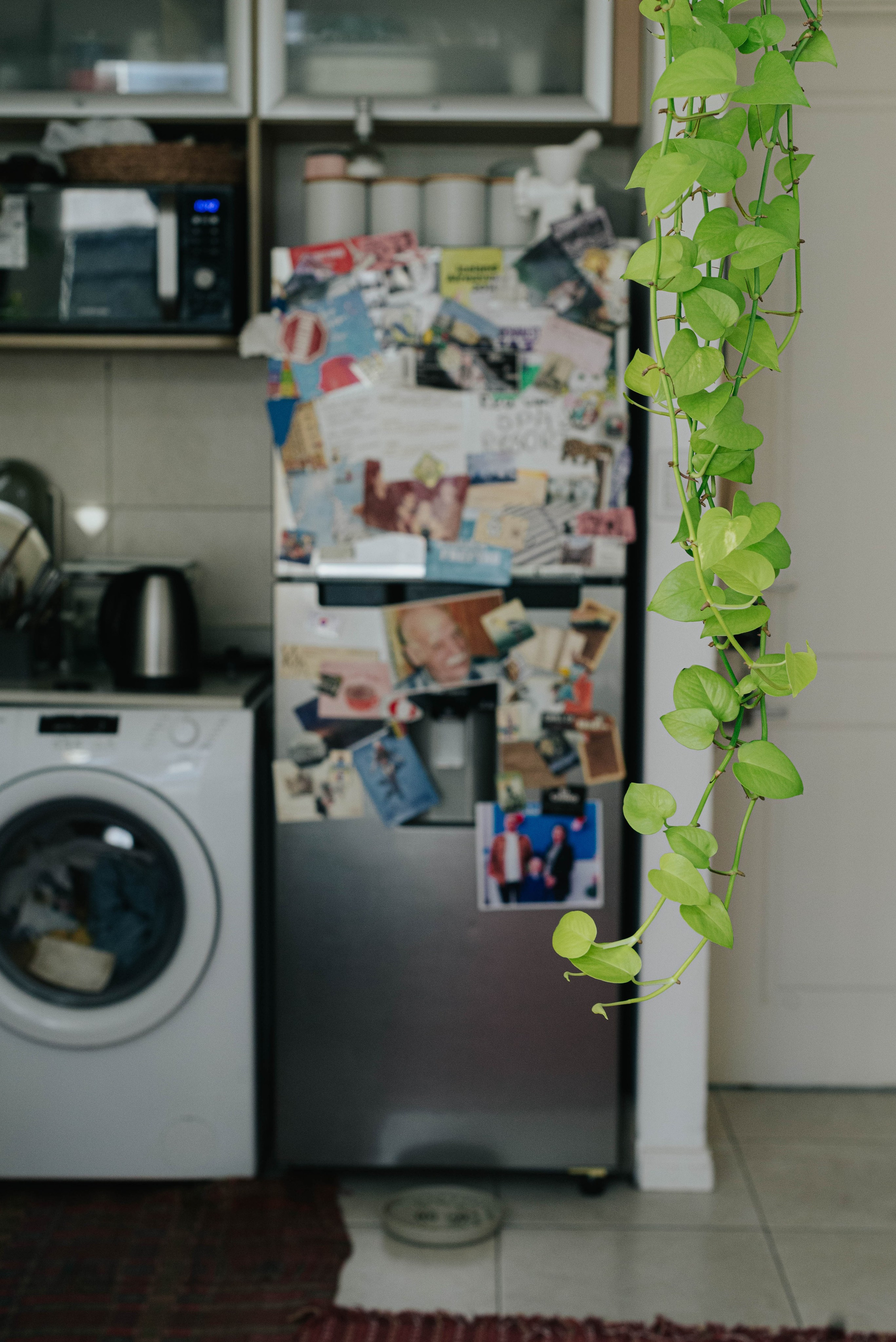 Юленька. Photographer @elmirkami in the city of Buenos Aires