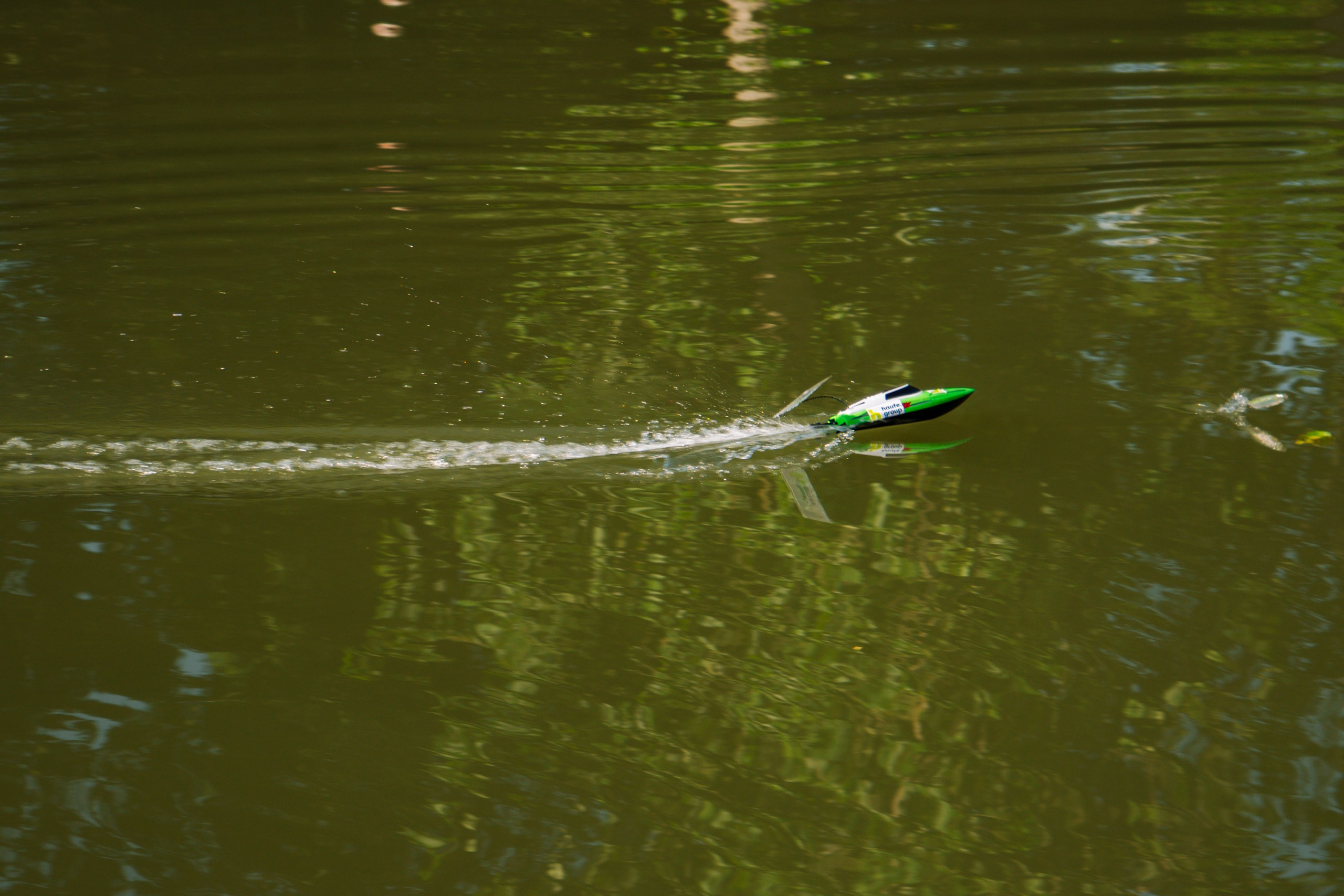 06.04 Bega Boat Race. Cozac Cristian Photographer