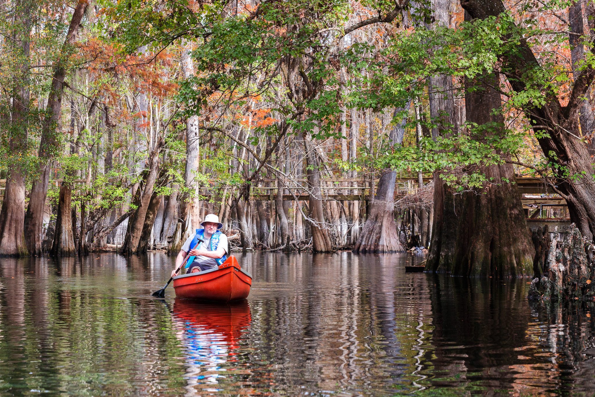 Cypresses, Springs, Birds and Alligators. Pet, Senior, Landscape, portrait studio, photographer in Miami and Sou
