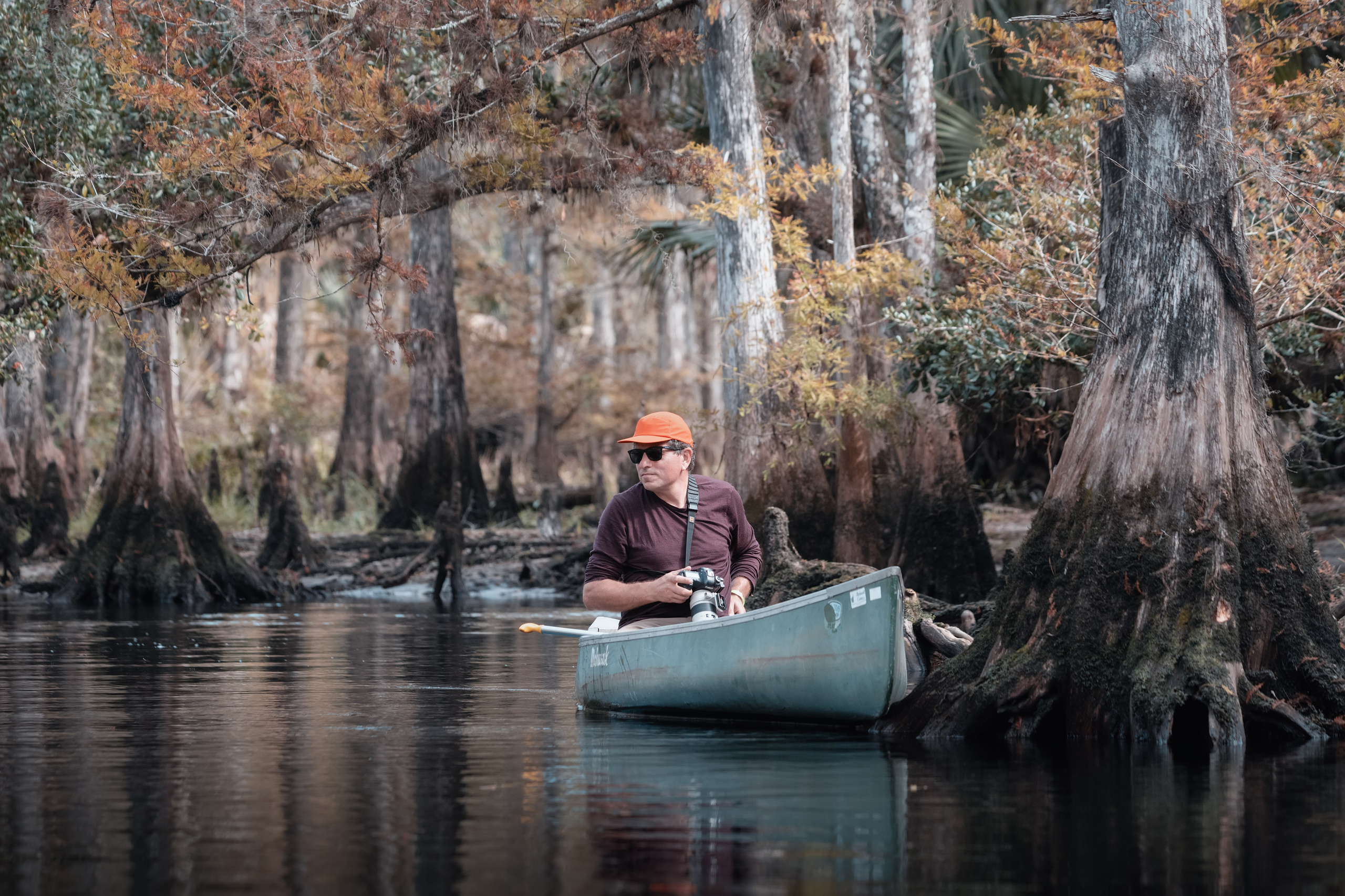 Cypresses, Springs, Birds and Alligators. Pet, Senior, Landscape, portrait studio, photographer in Miami and Sou