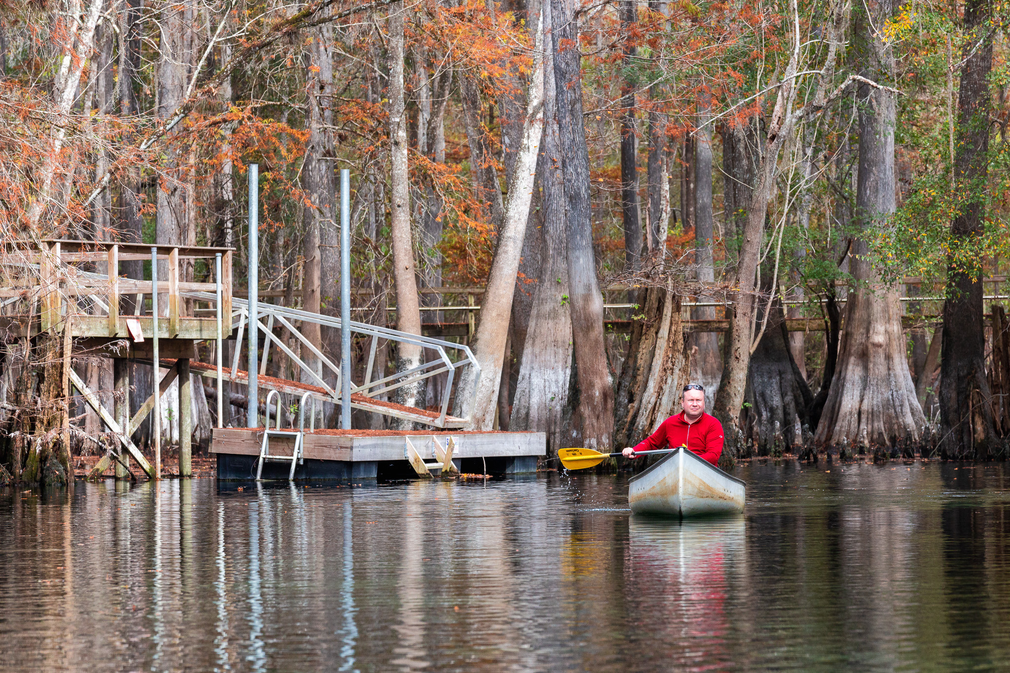 Cypresses, Springs, Birds and Alligators. Pet, Senior, Landscape, portrait studio, photographer in Miami and Sou