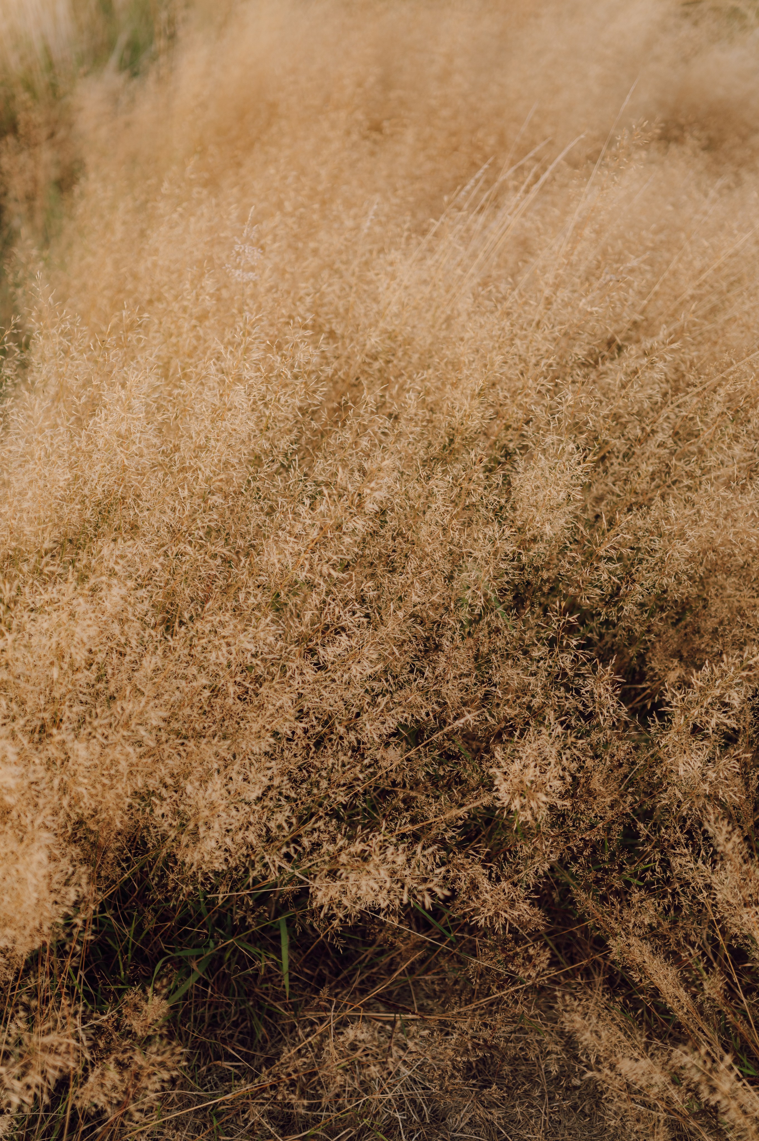 Reportaż Ślubny – Zuzia i Jasiek | Fotograf Ślubny Poznań. Ślubny fotograf Poznań | Oliwia Makara