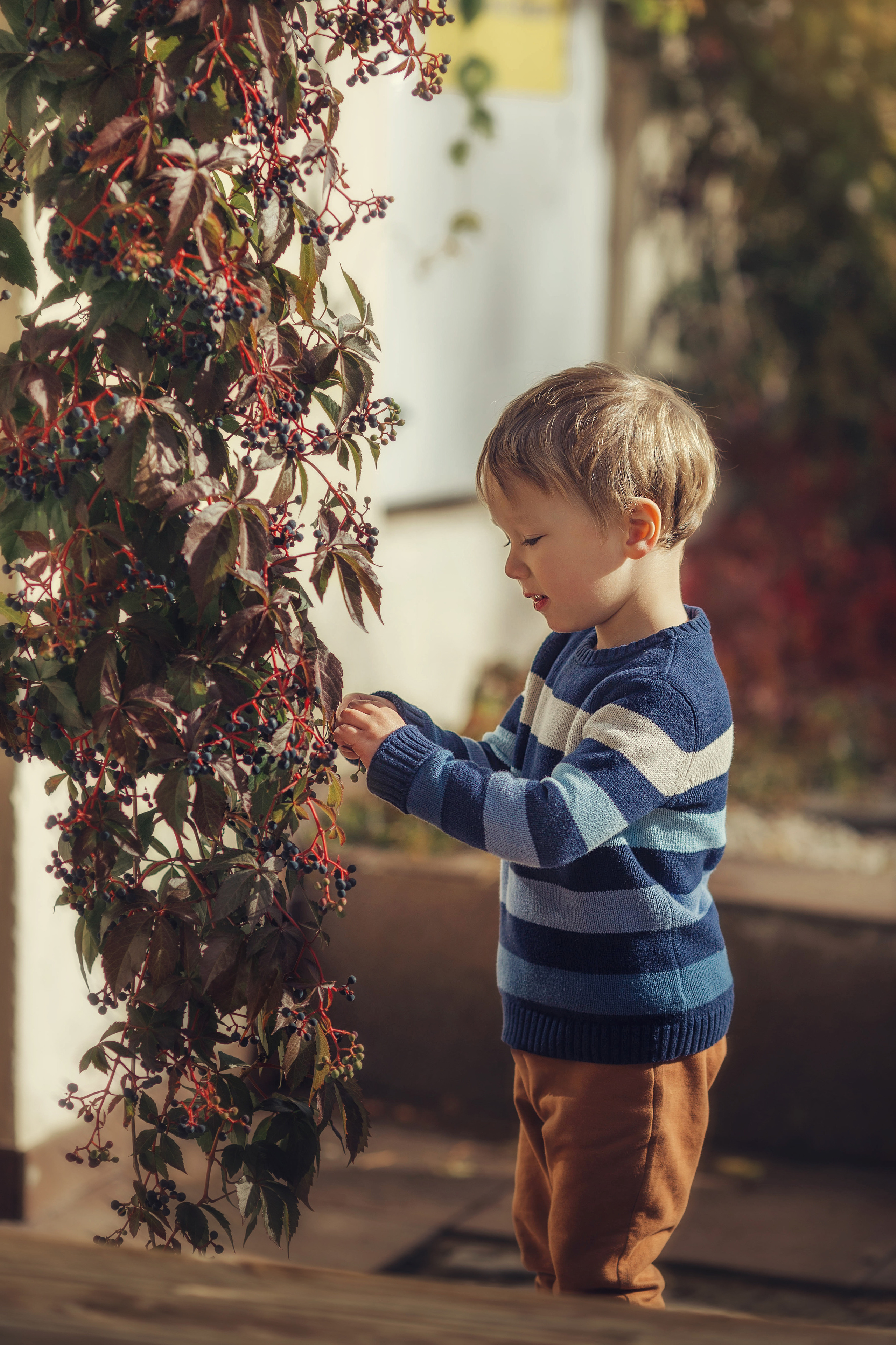 Юля, Саша и маленький Мишка. Семейный и детский фотограф в Вильнюсе Светлана Наумова
