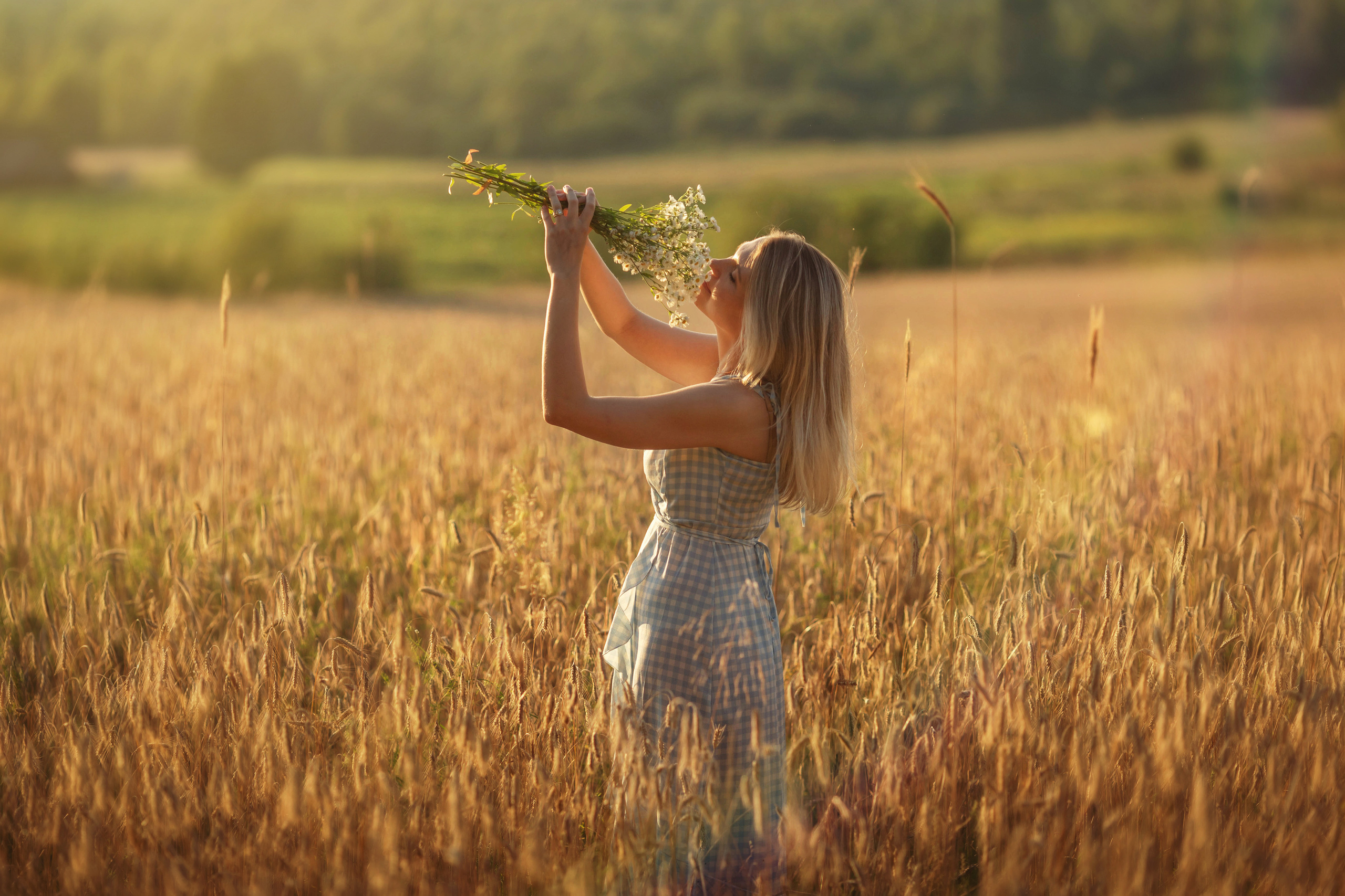 Sunset in the field. Family photographer in Vilnuis Svetlana Naumova