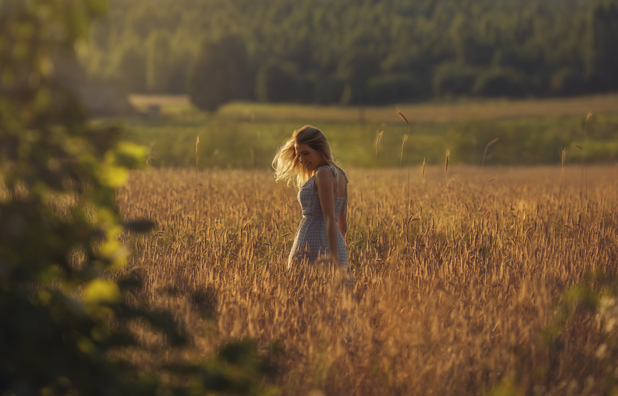 Sunset in the field. Family photographer in Vilnuis Svetlana Naumova