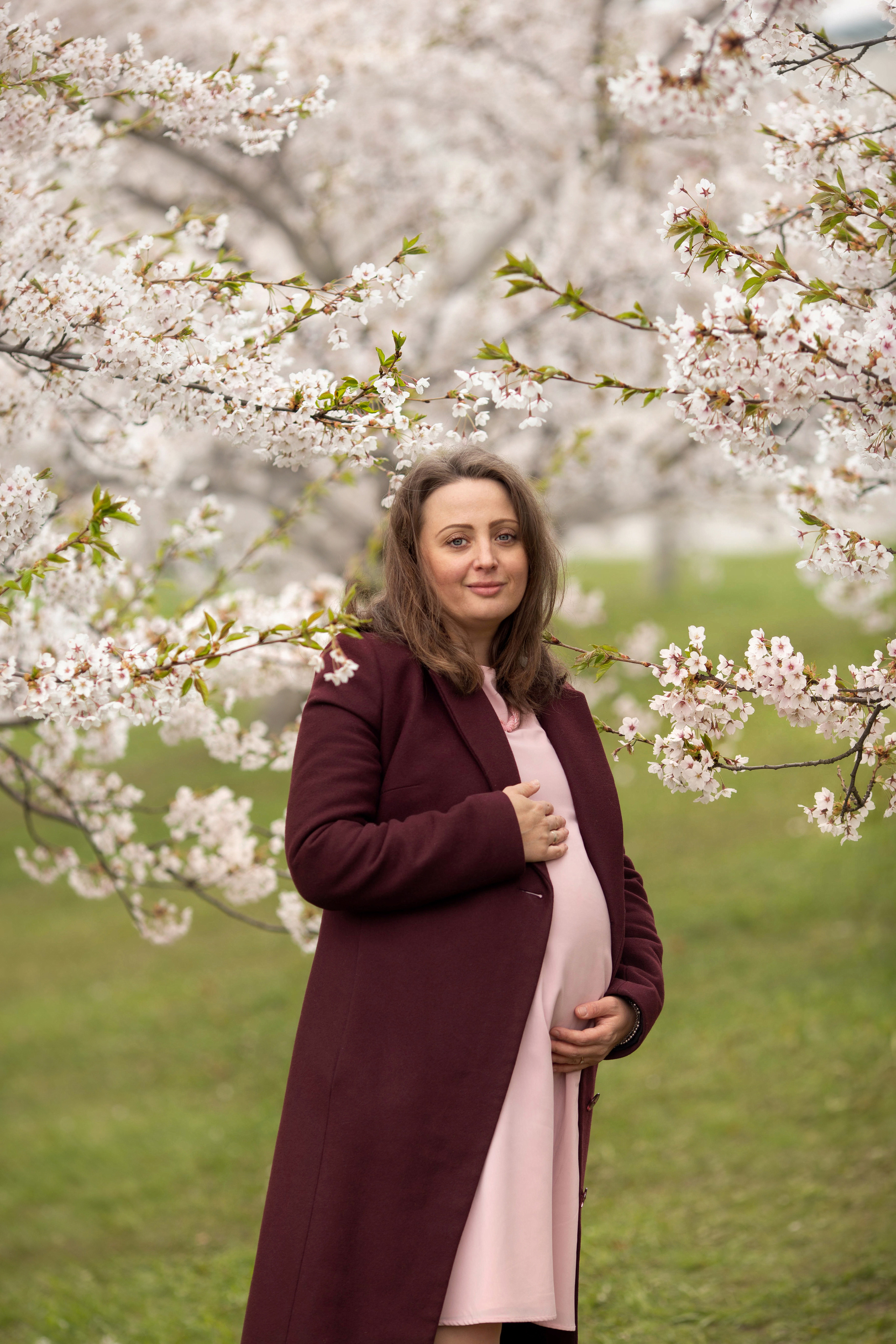 Anna in sakura. Family photographer in Vilnuis Svetlana Naumova