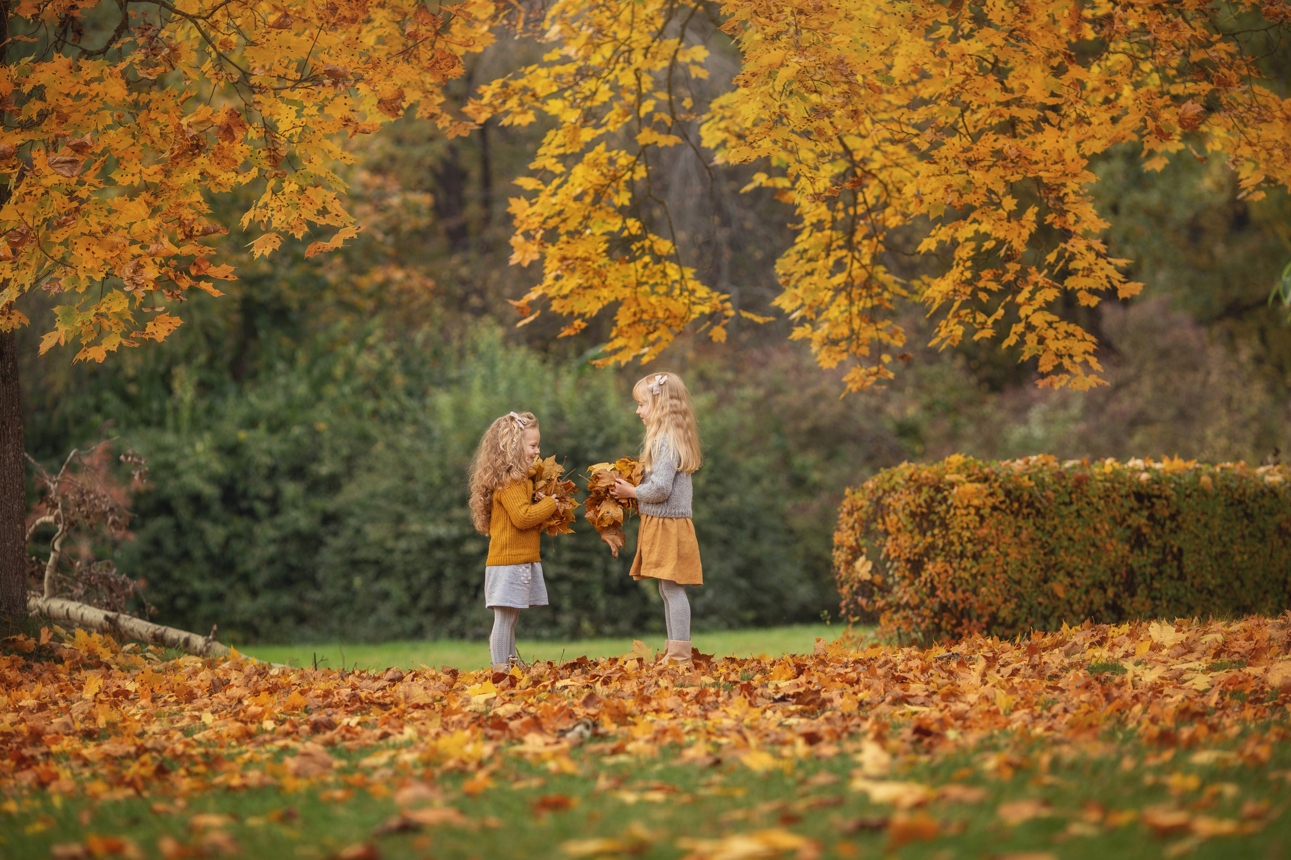 Children’s photography. Alice and Sofia. Family photographer in Vilnuis Svetlana Naumova