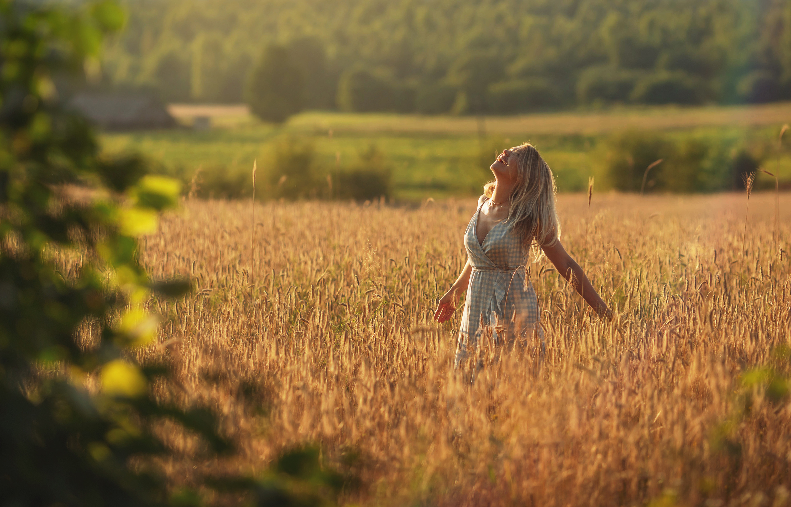 Sunset in the field. Family photographer in Vilnuis Svetlana Naumova