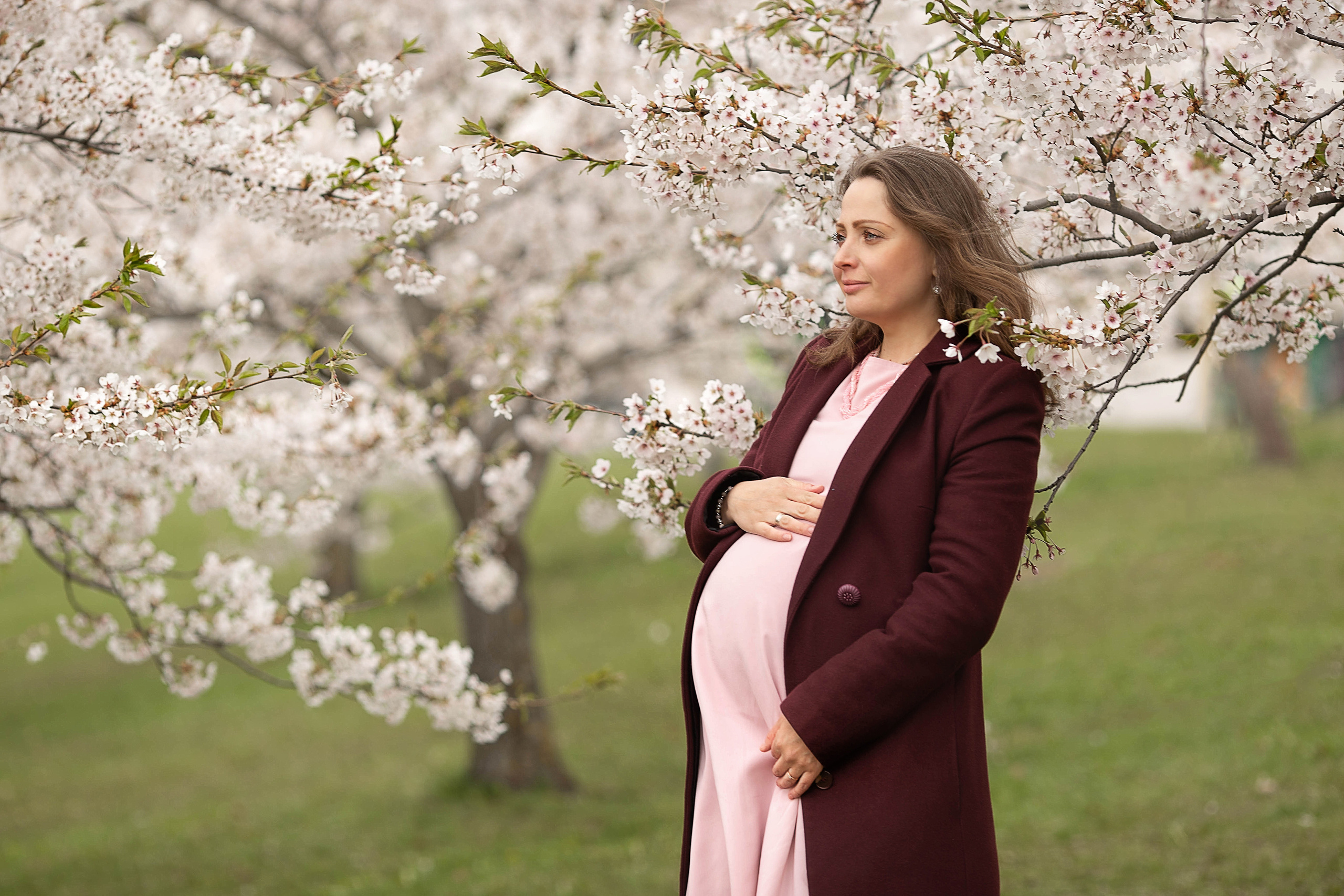 Anna in sakura. Family photographer in Vilnuis Svetlana Naumova