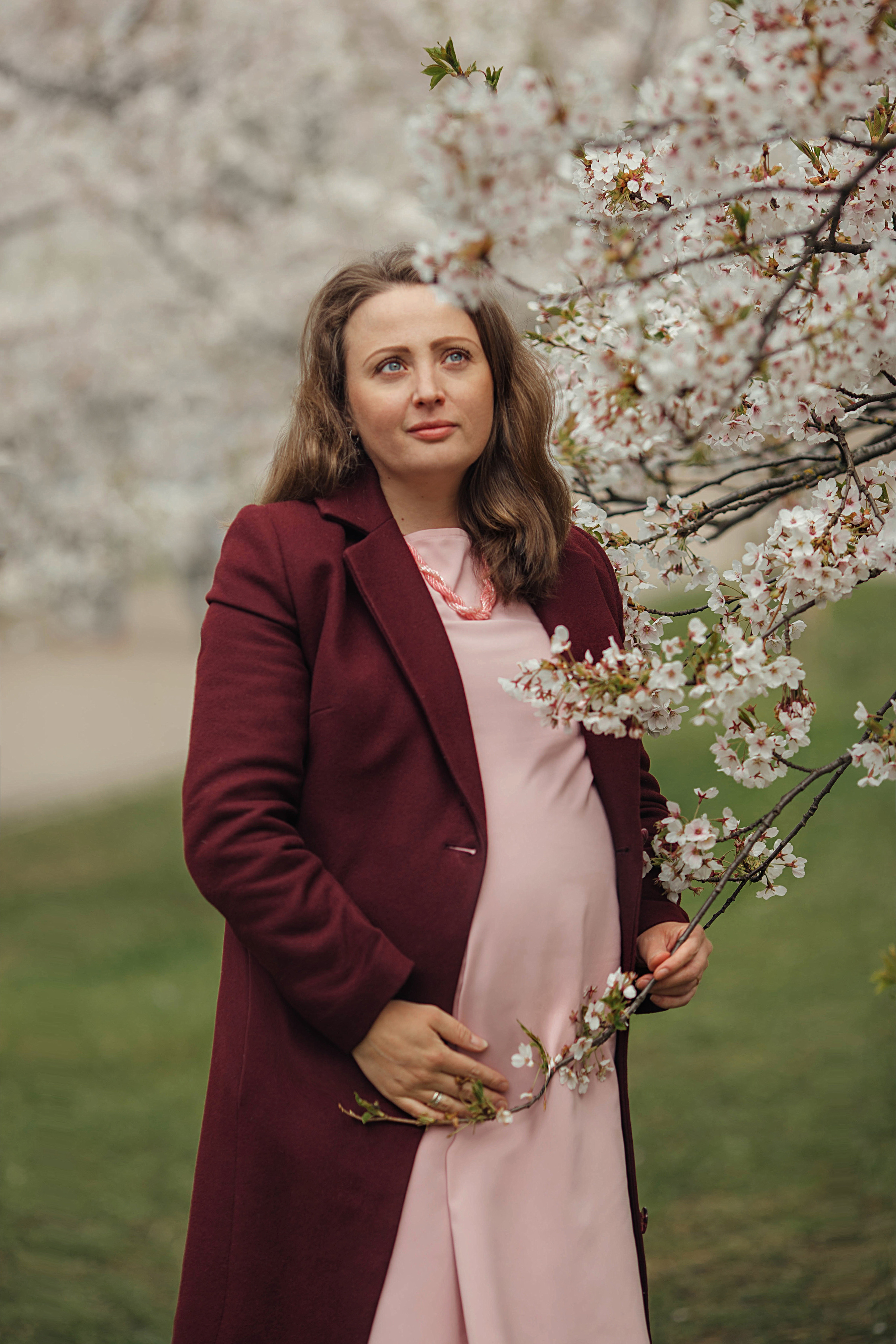 Anna in sakura. Family photographer in Vilnuis Svetlana Naumova