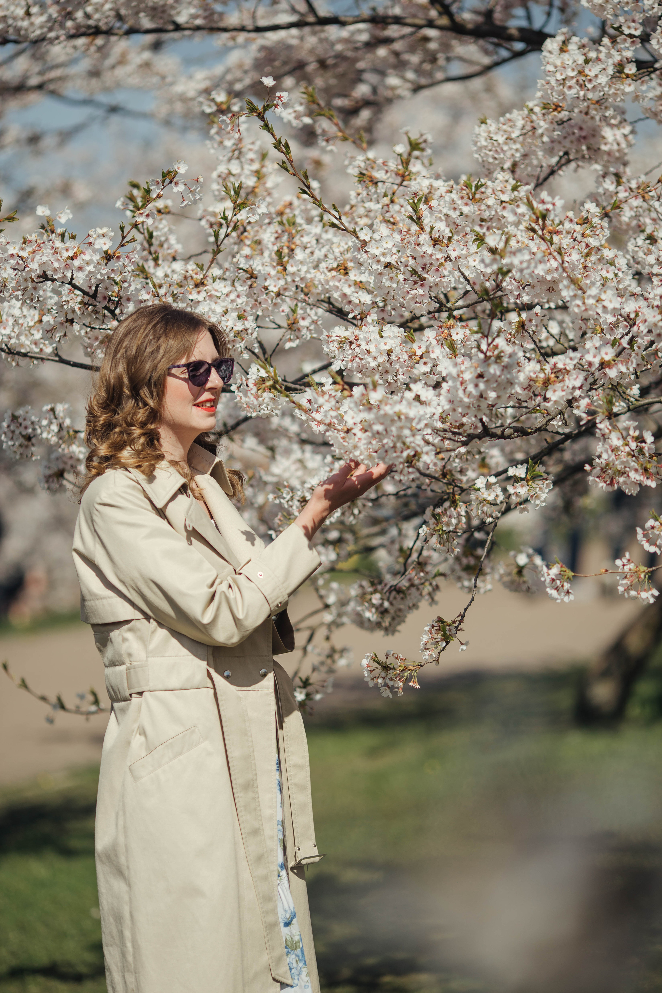 Darina in Sakura. Family photographer in Vilnuis Svetlana Naumova