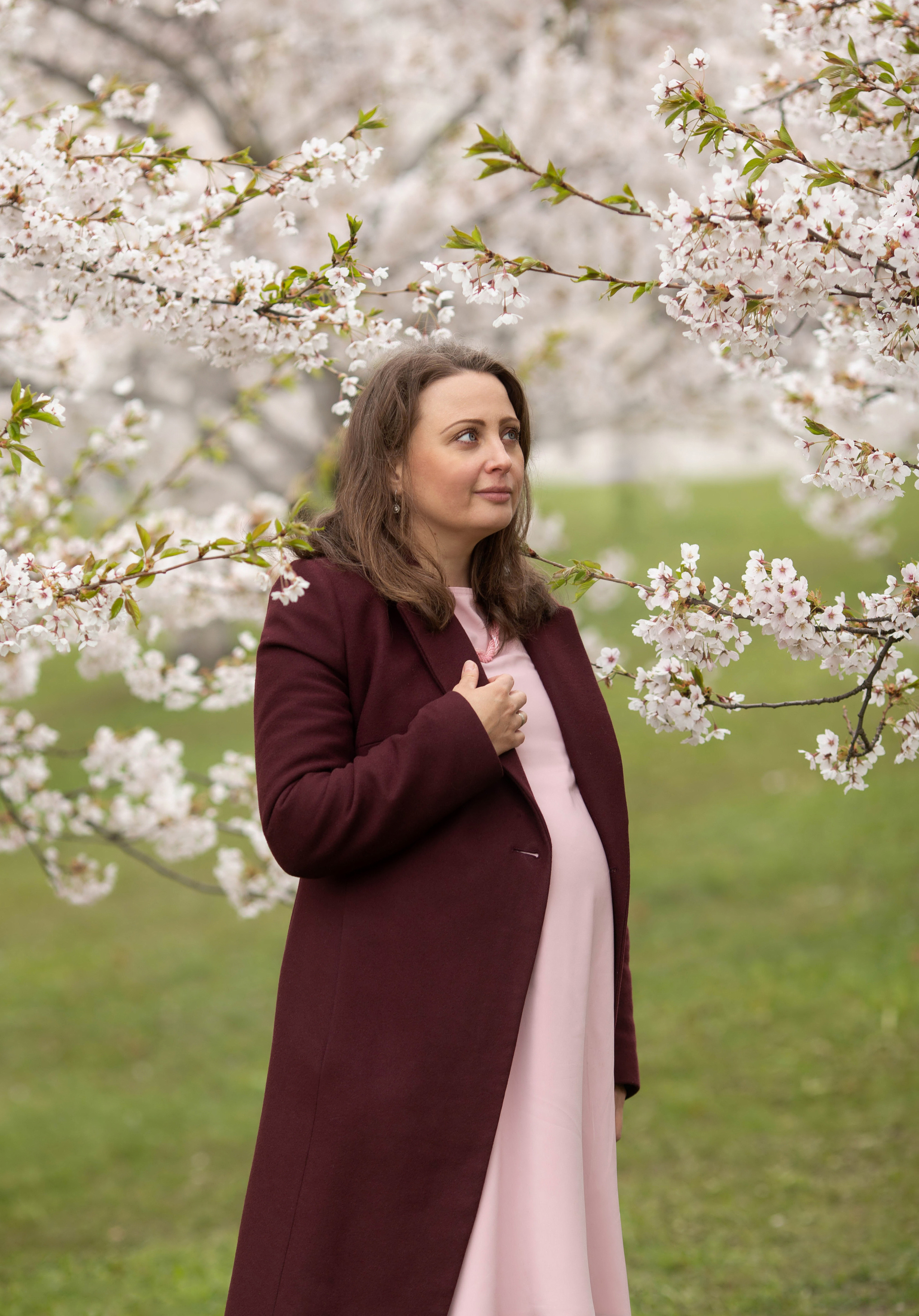 Anna in sakura. Family photographer in Vilnuis Svetlana Naumova
