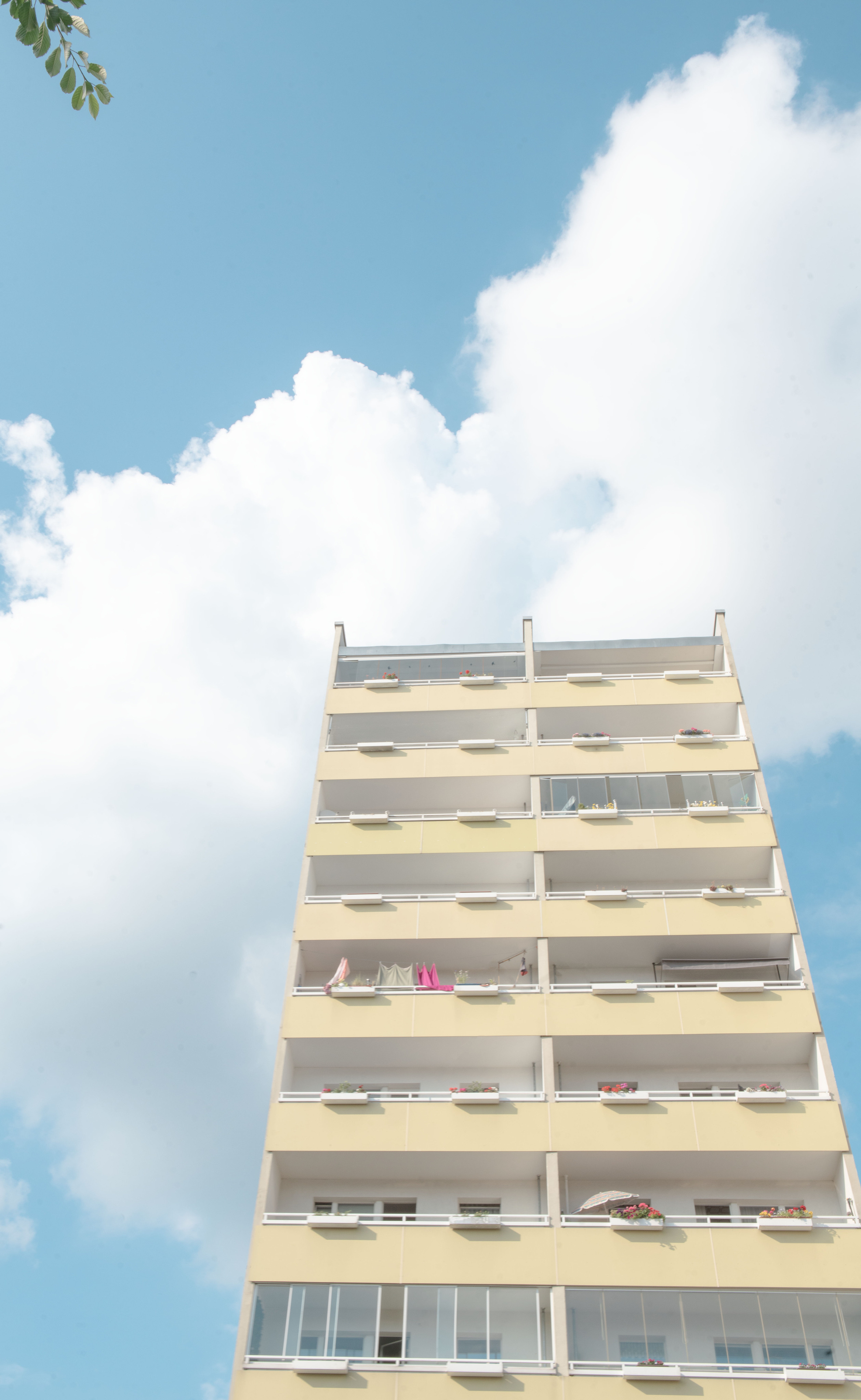 Street. Maria Bogachek Photography