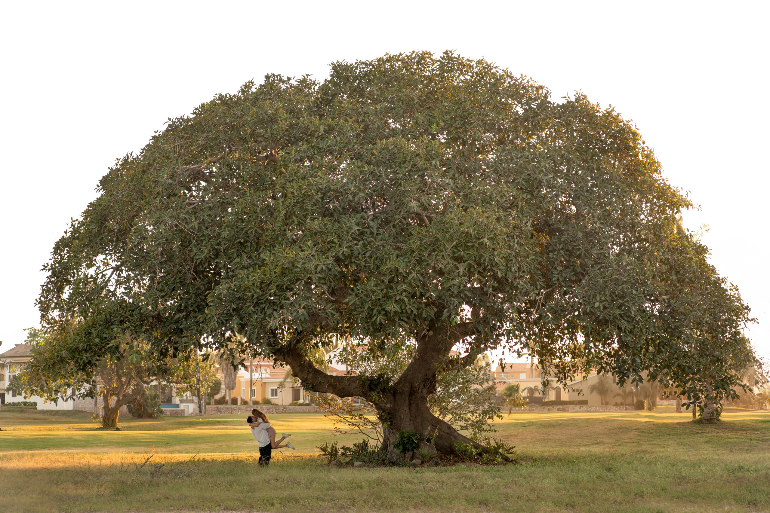 Ignacio & Linda. Save the date. Victoria Castellanos. Photographer in Mazatlán