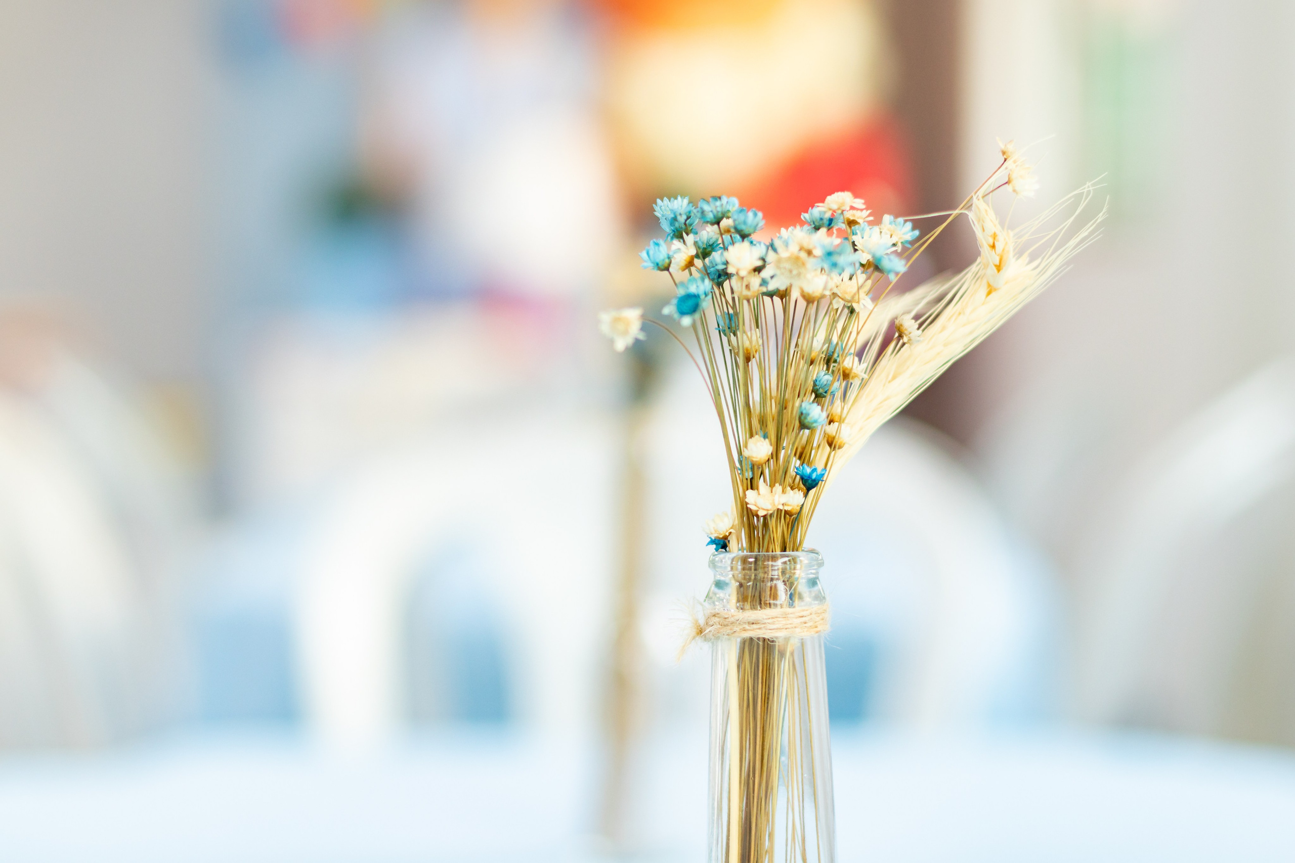 Aniversário Caio — 1 ano. Principal