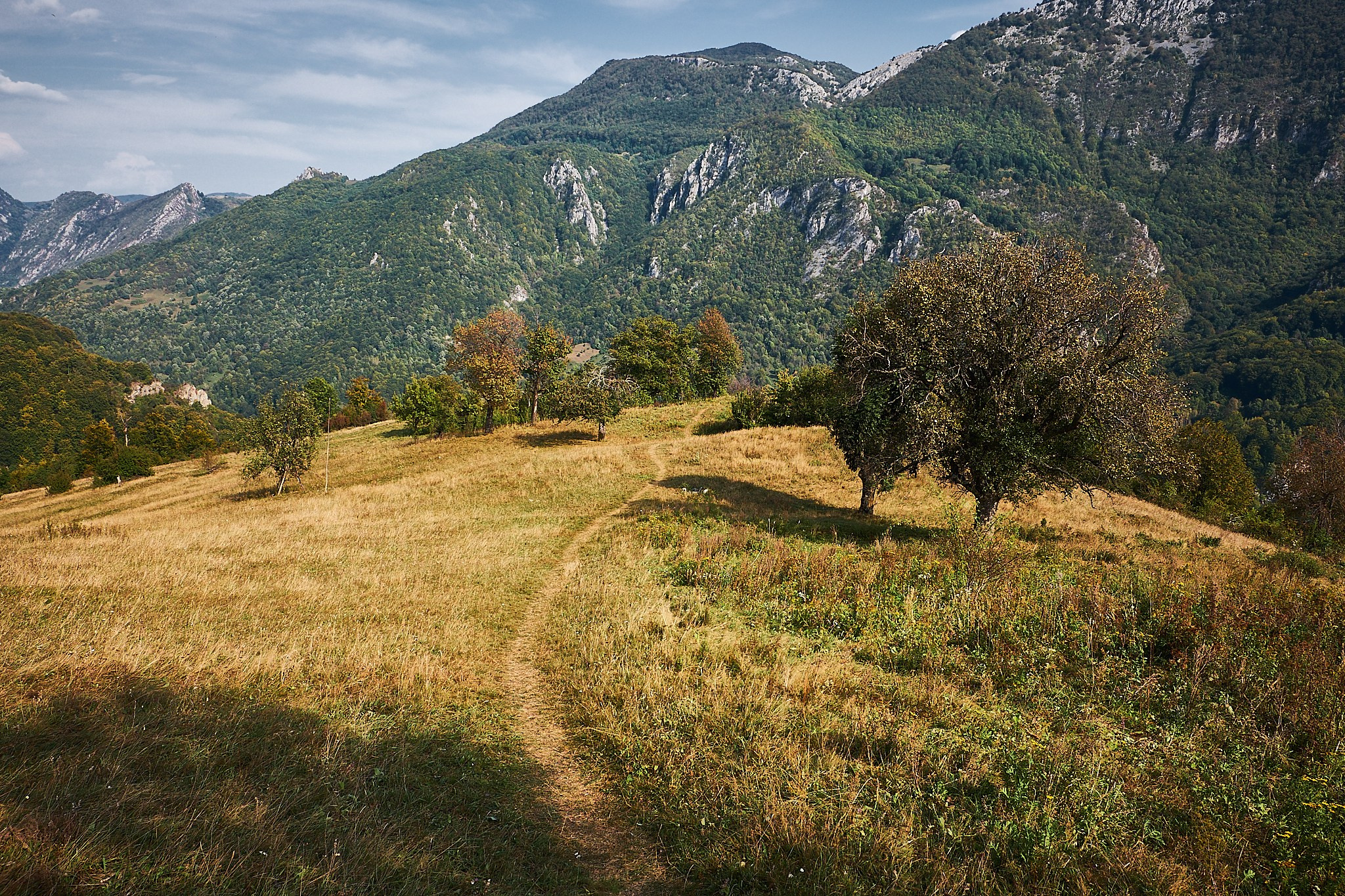 Ineleț, jud. Caraș-Severin. Pagina principală
