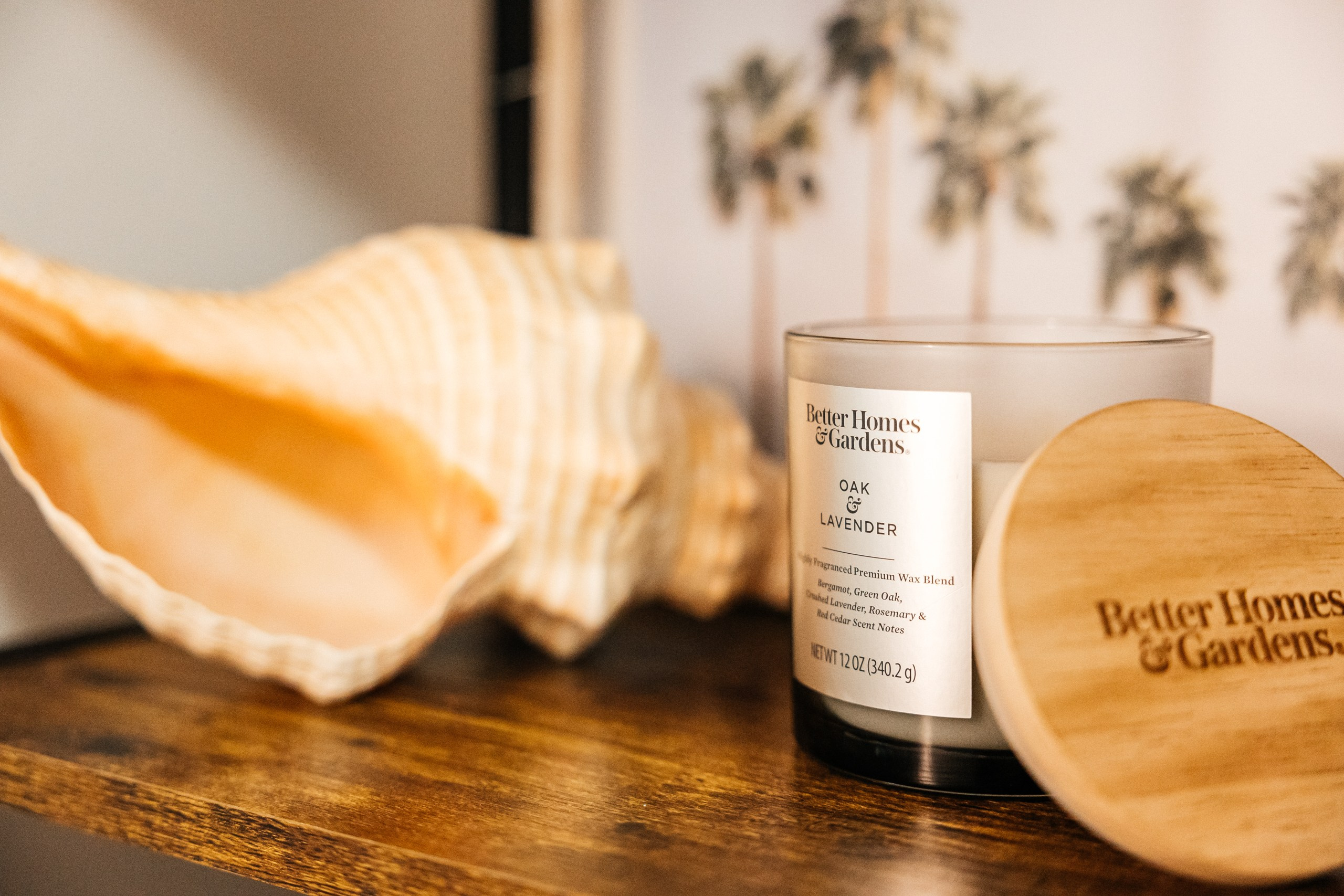 Influence Apartments. Photographer Andrei White