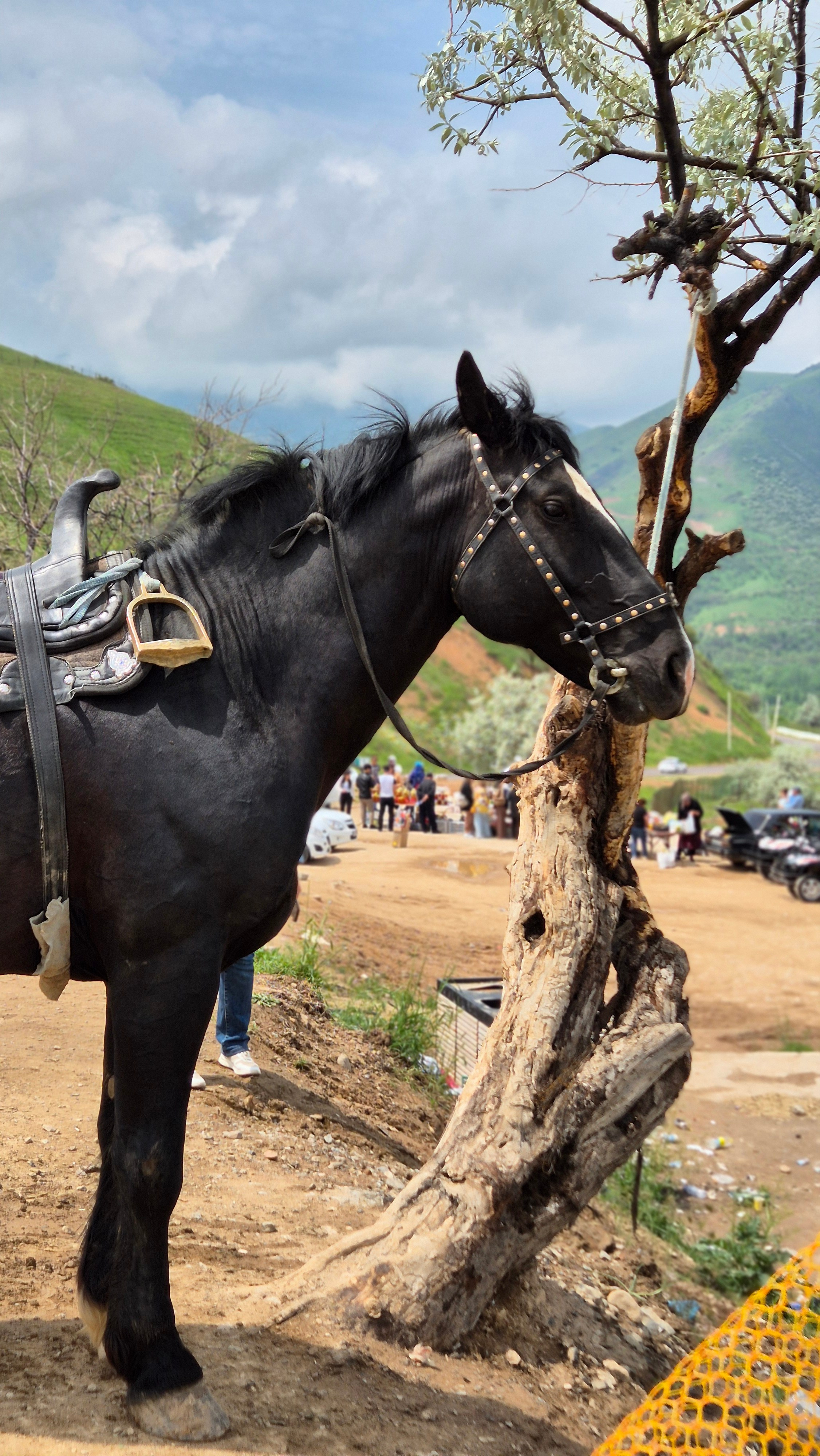 Uzbekistan 2024. Photographer Marina, city of Nuremberg