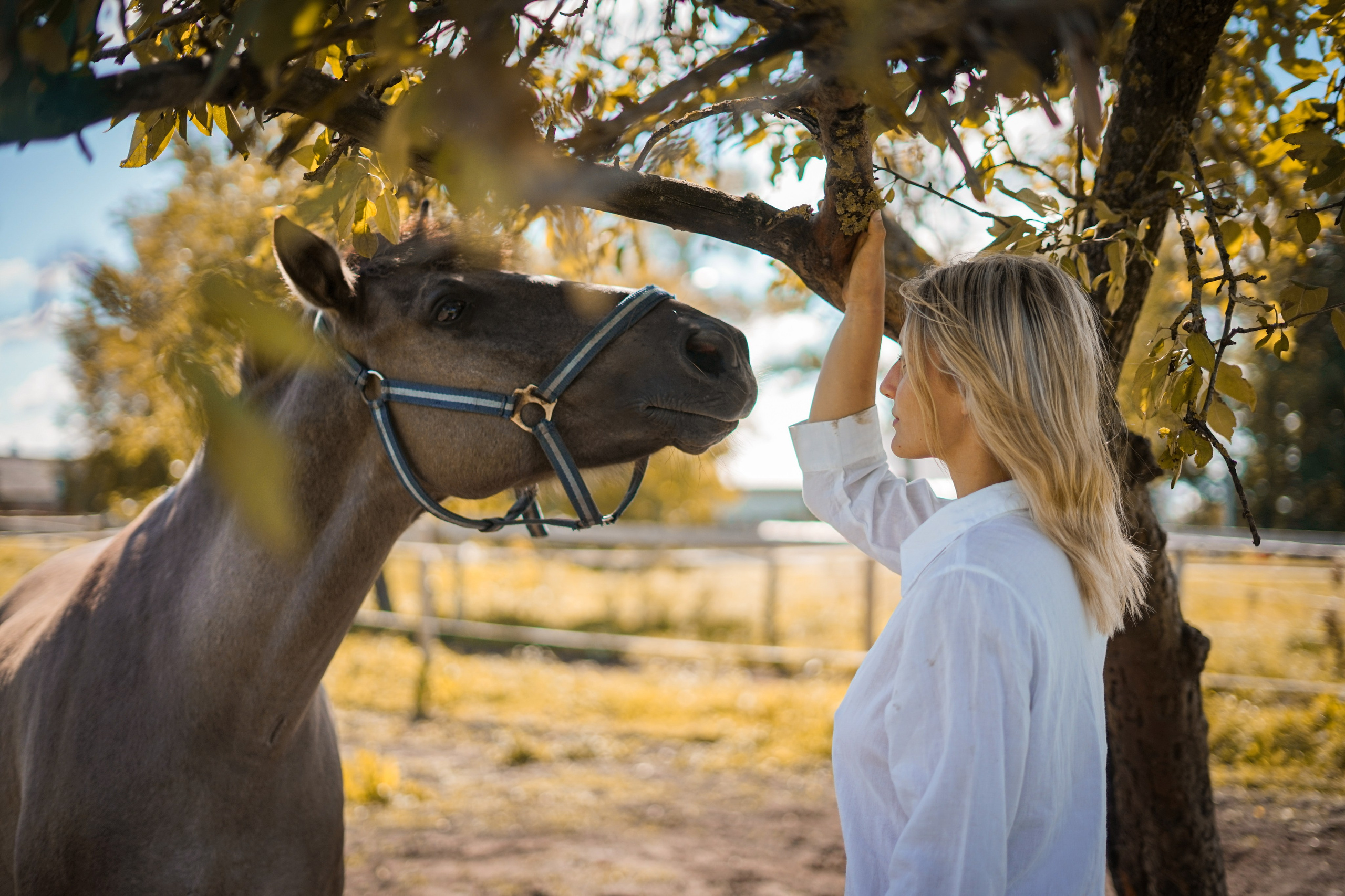 Horses and Harmony Ft.Paula. Potrait Photography Arjunovision