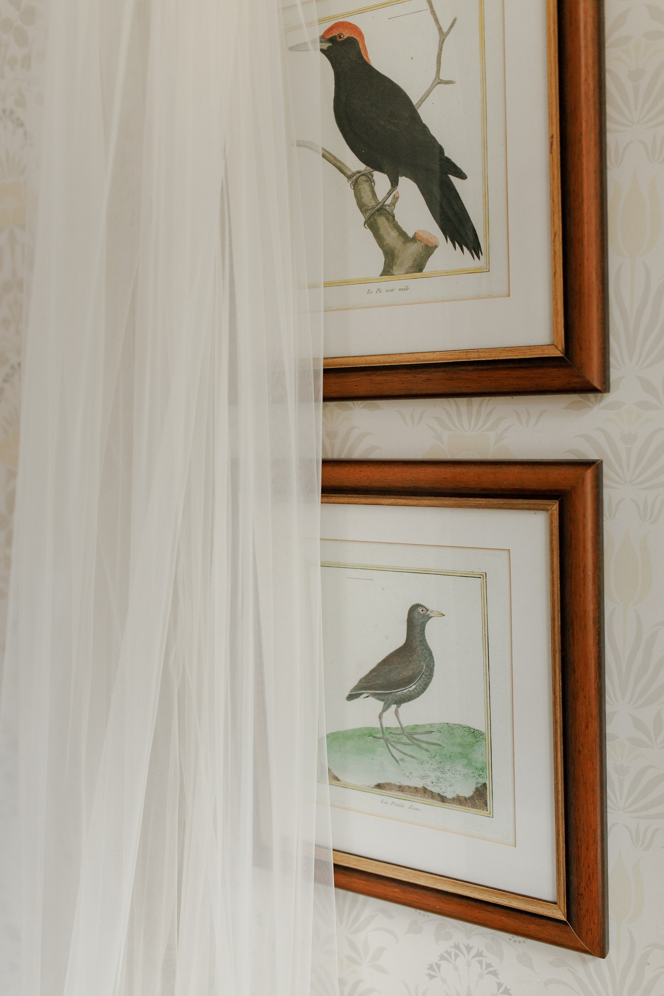 Kamila & Jorg. Dwor Sireakow. 26.07.2025. Fotograf ślubny i rodzinny w Krakowie Yana Klymova