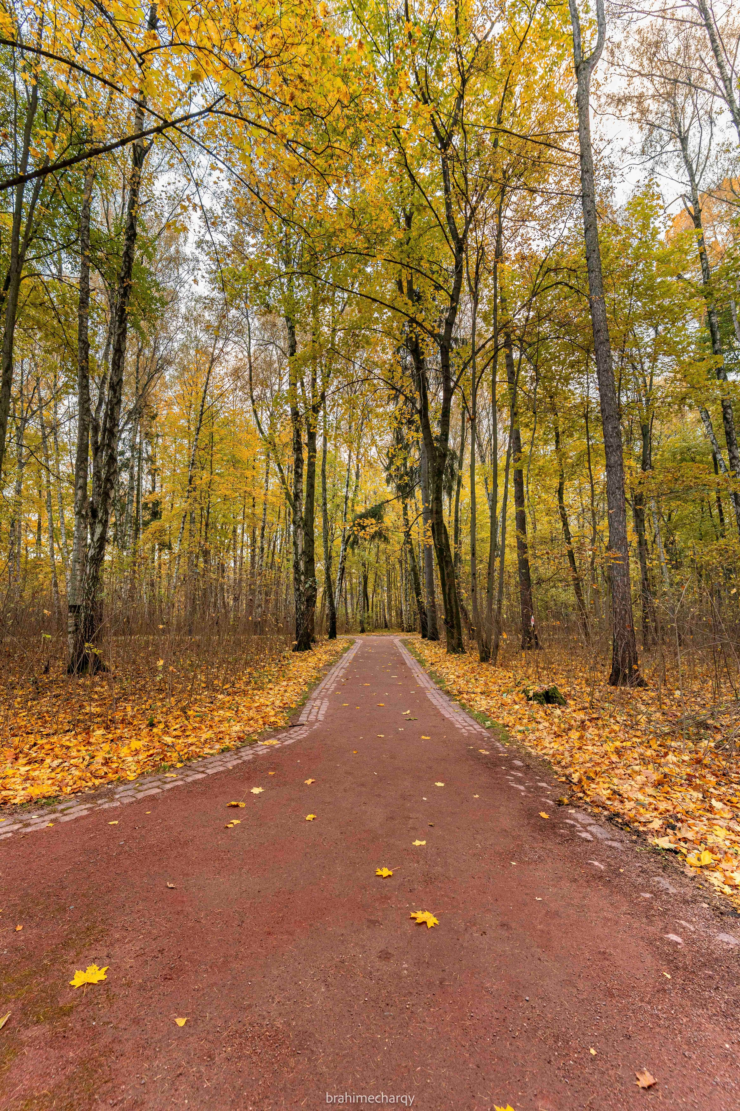 Фото. Брахим — фотограф