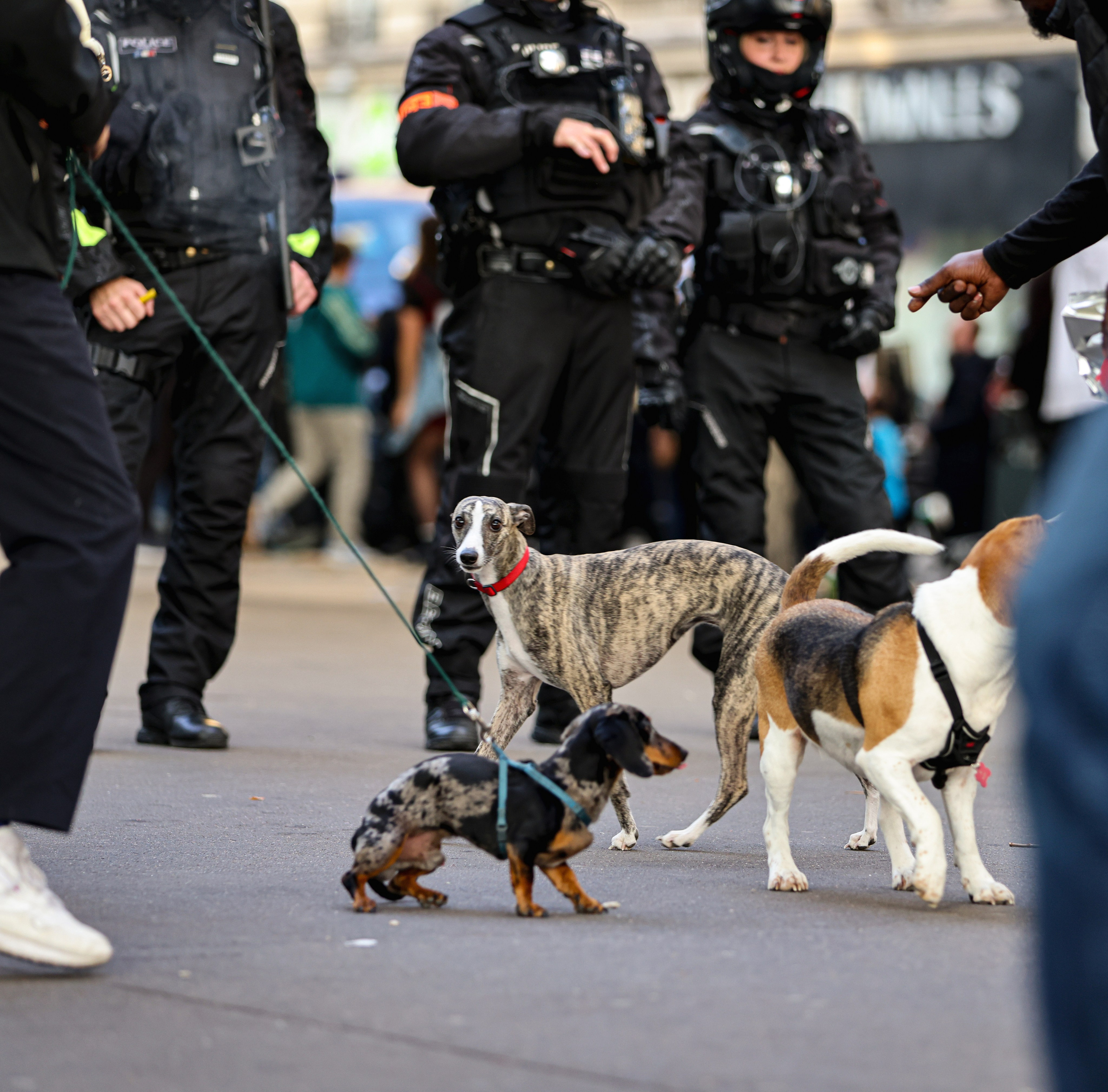 CRS octobre. Natalia Bogdanovska. Films et photographie corporate en France