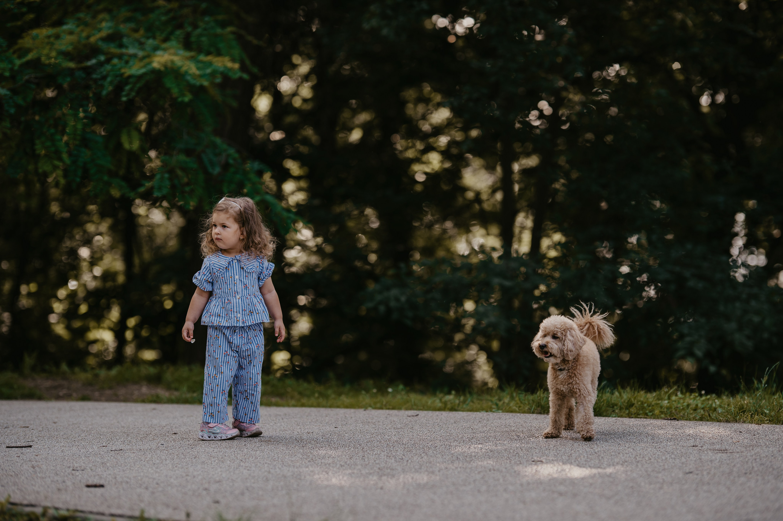 Sremska Kamenica. Ana Sladojevic