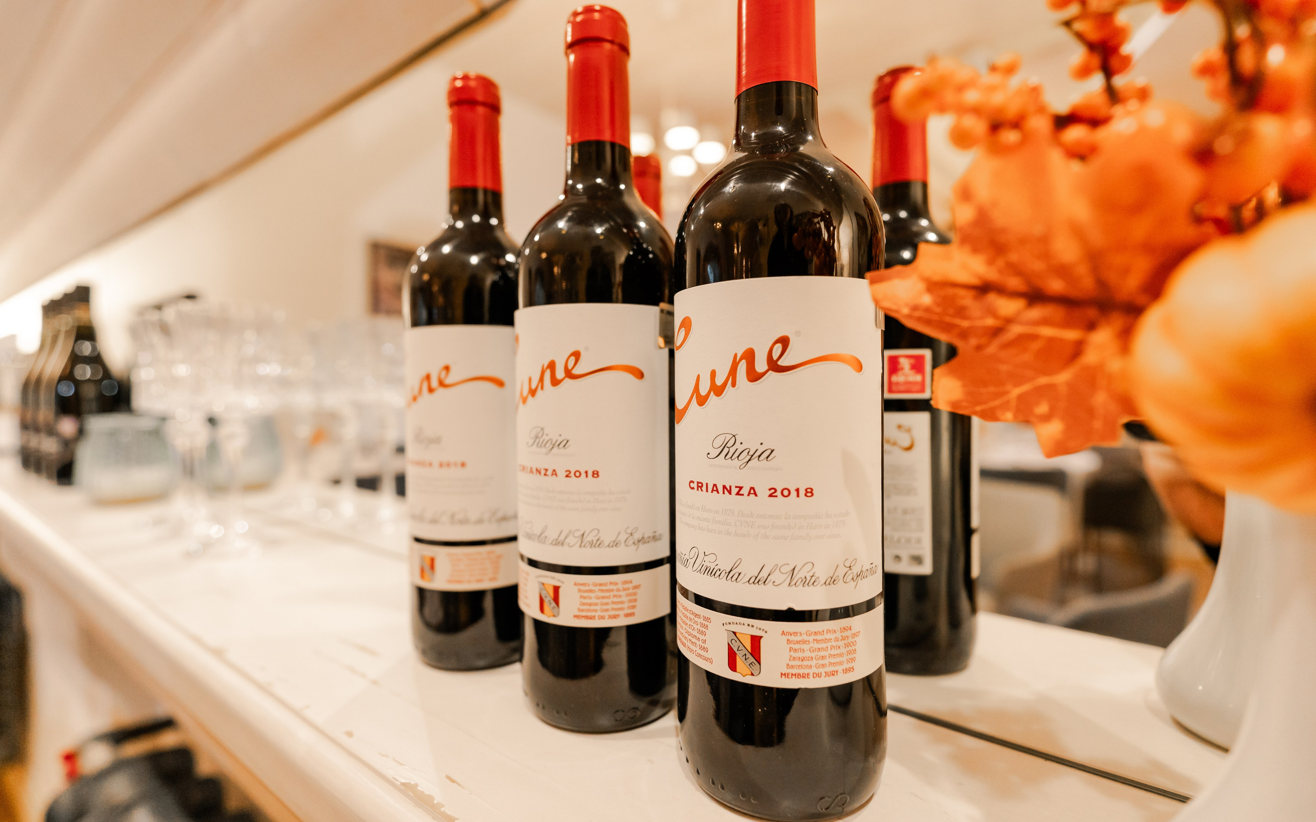 RESTAURANT. Montenegro photographer and videographer