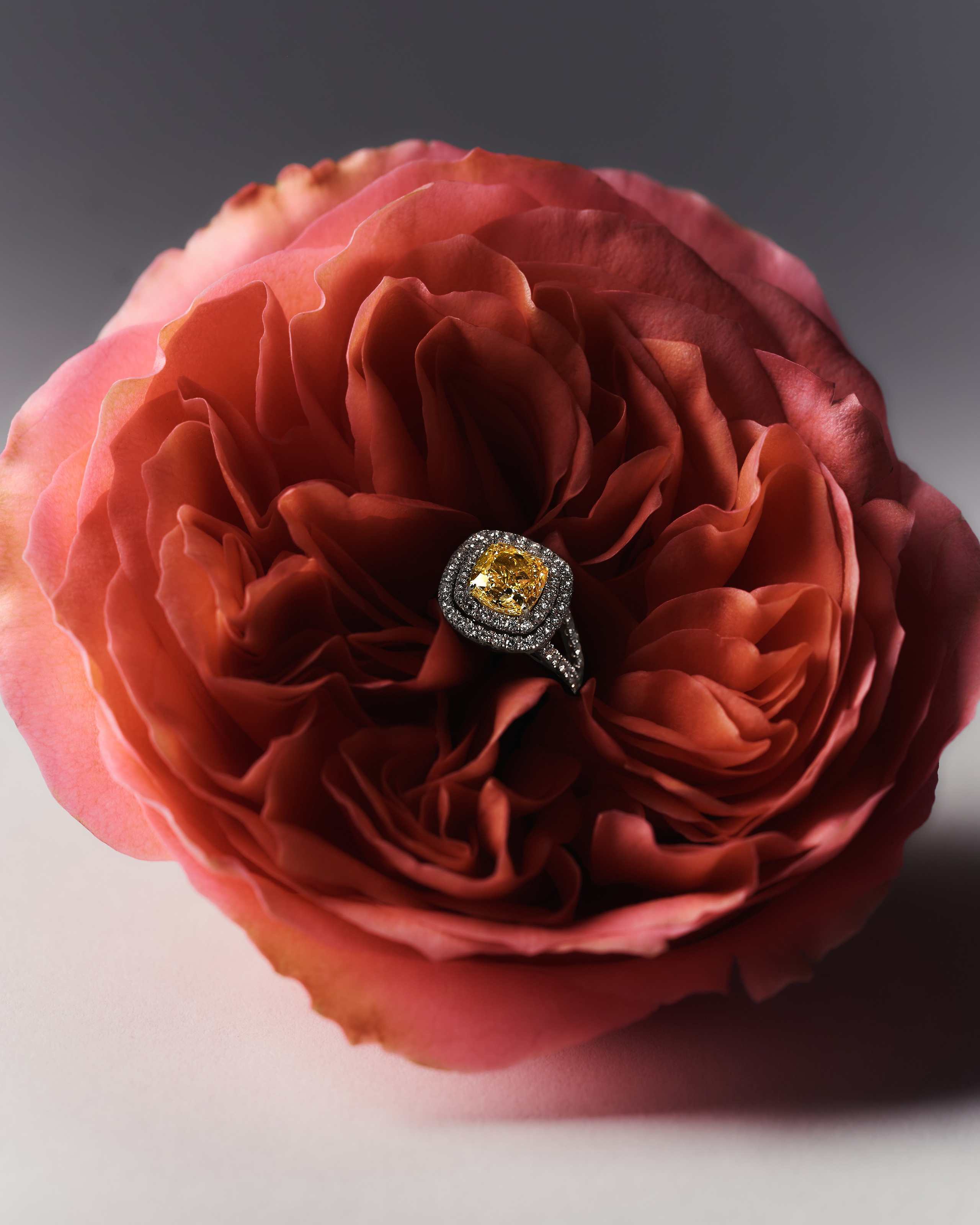 JEWELLERY. Fashion and advertising photographer Alina Mikhalkovich Dubai