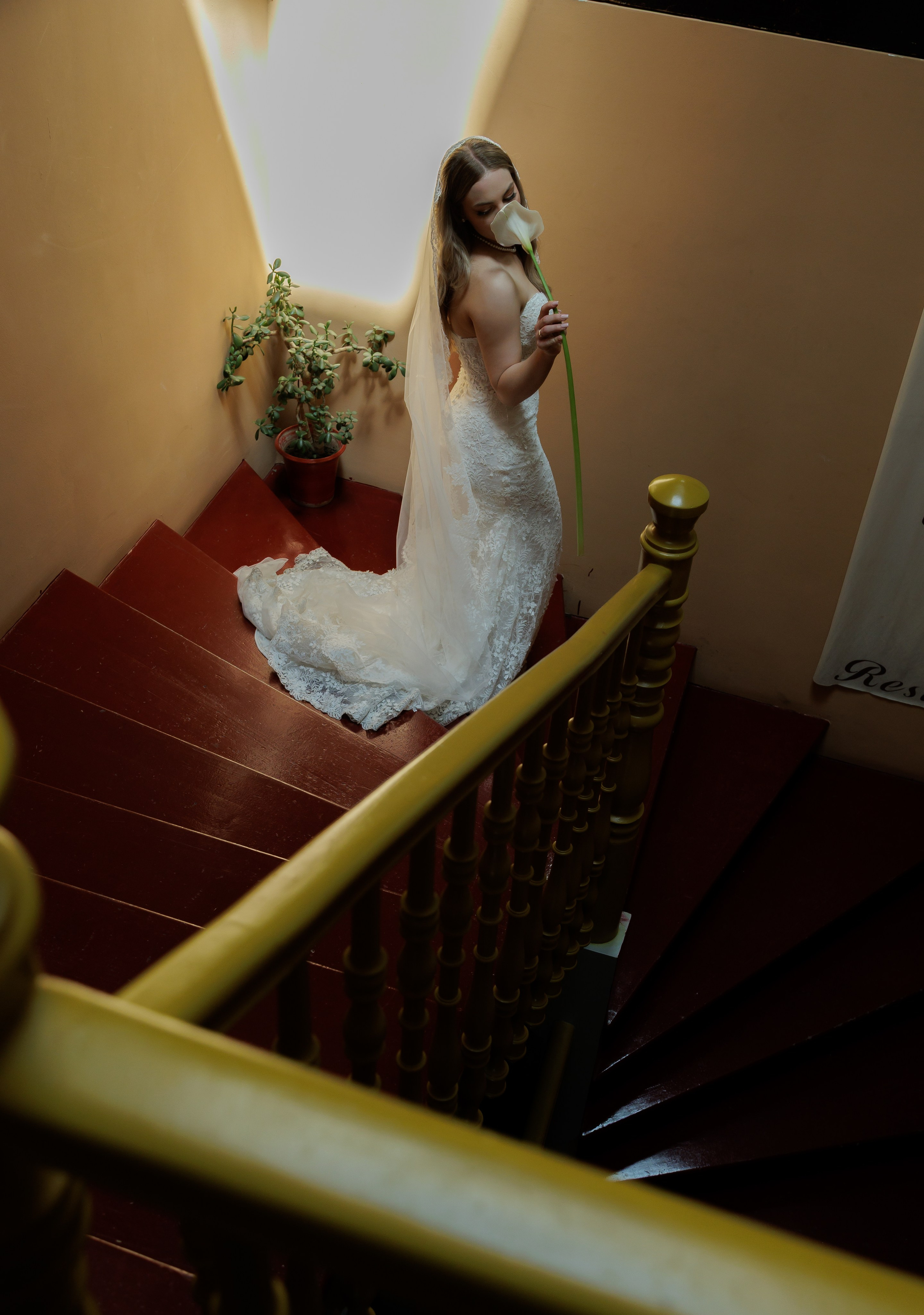 Сборы+прогулка+церемония+фуршет. Wedding photographer Batumi Tbilisi Georgia