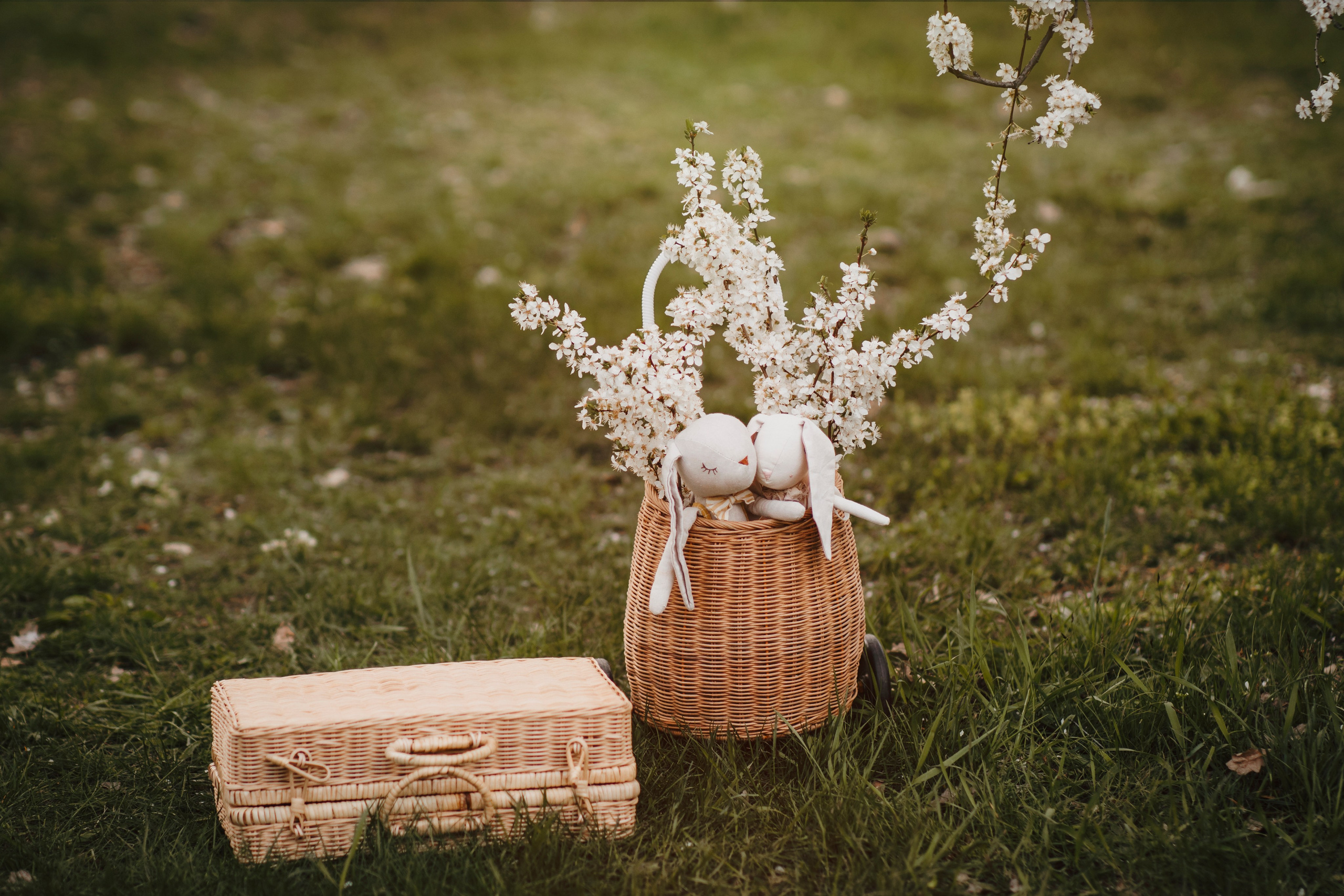 Sofia & Darius. Fotograf de eveniment din Buzău | Bogdan
