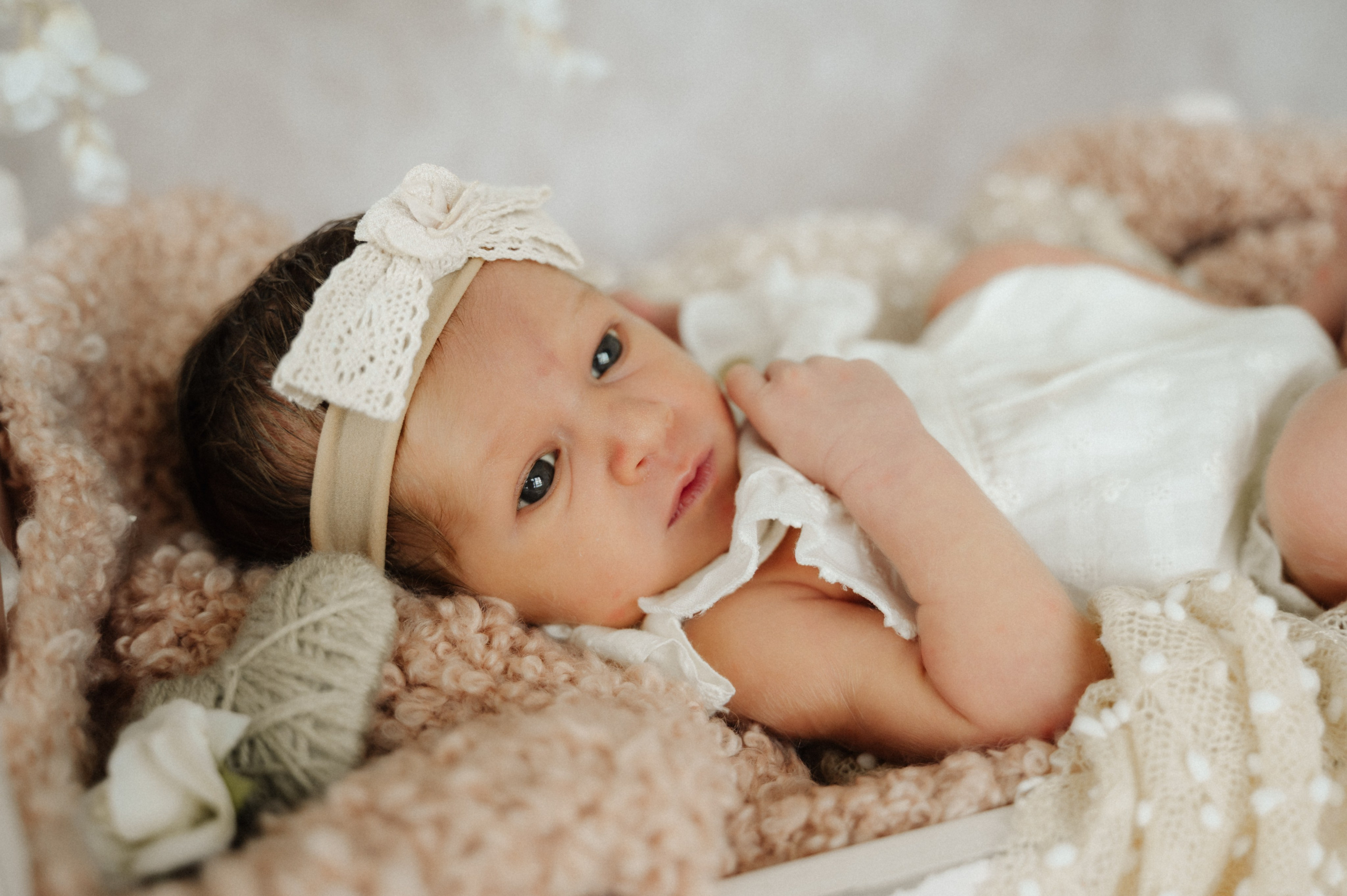 Newborn. Anastasia Kurbanov Photography