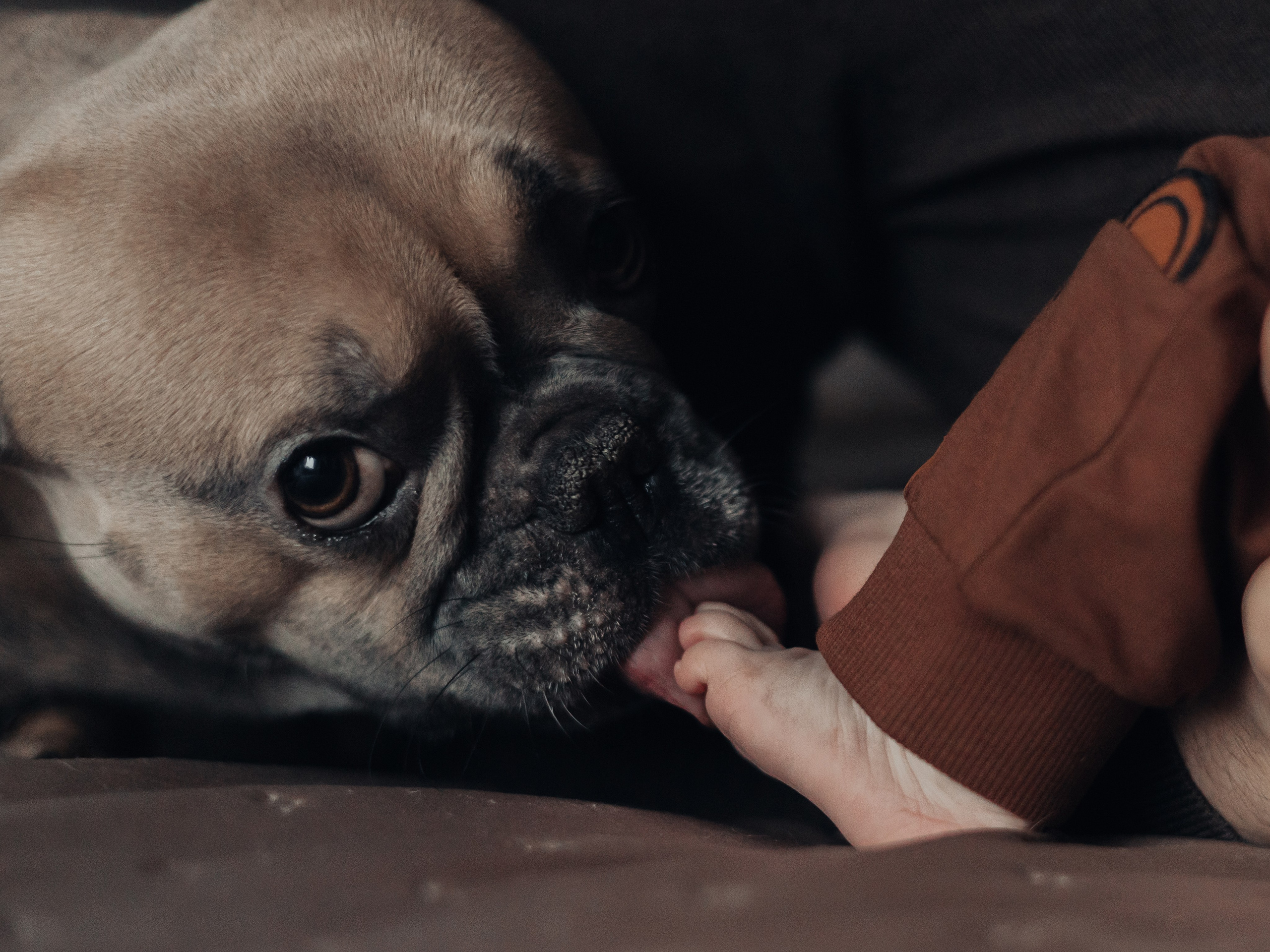Ингрид, Евгений, Андрей и Джани. Семейный фотограф в Таллинне Дарья Кивимейстер