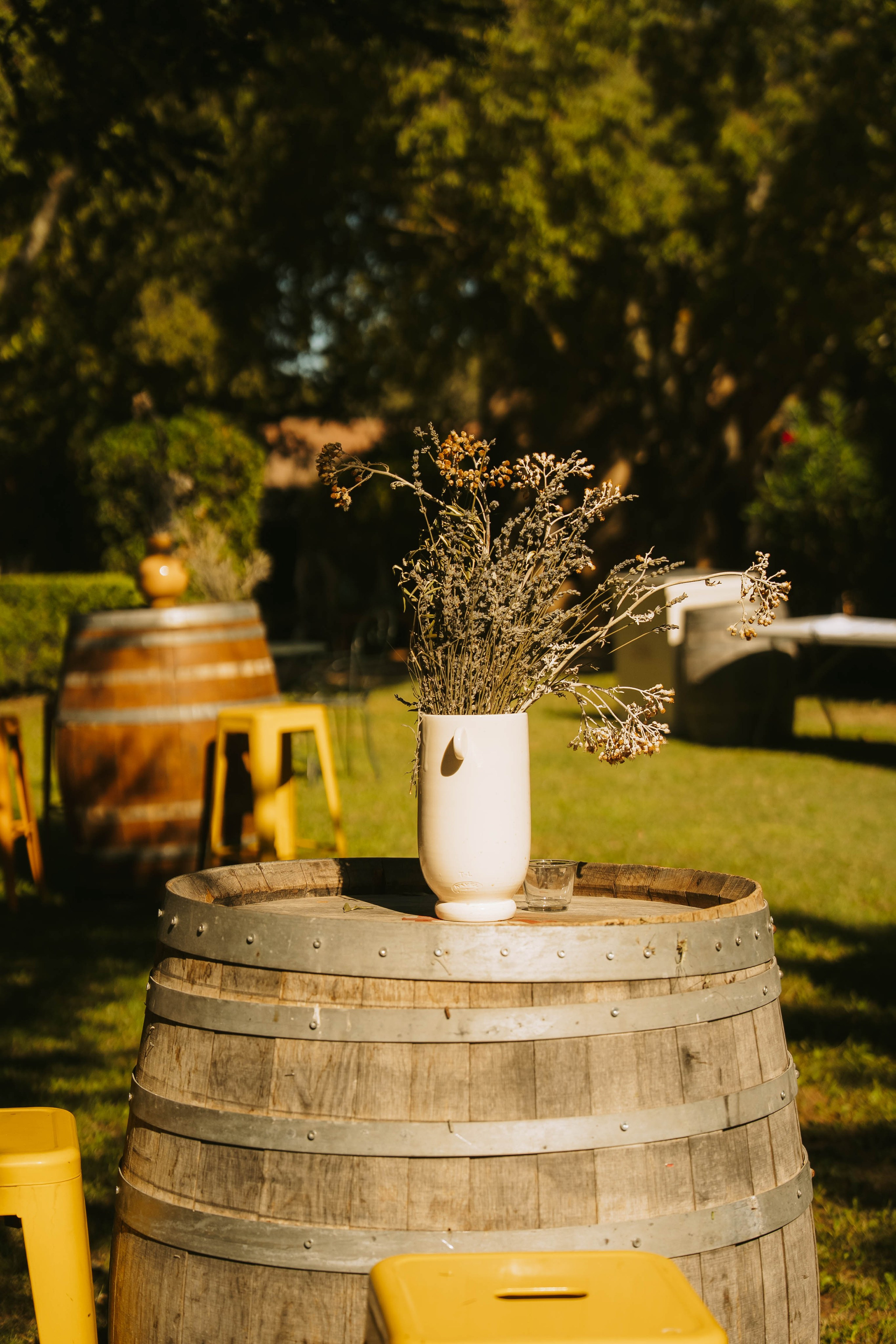 Domaine Gavoty. Weeding photographer / event / portrait