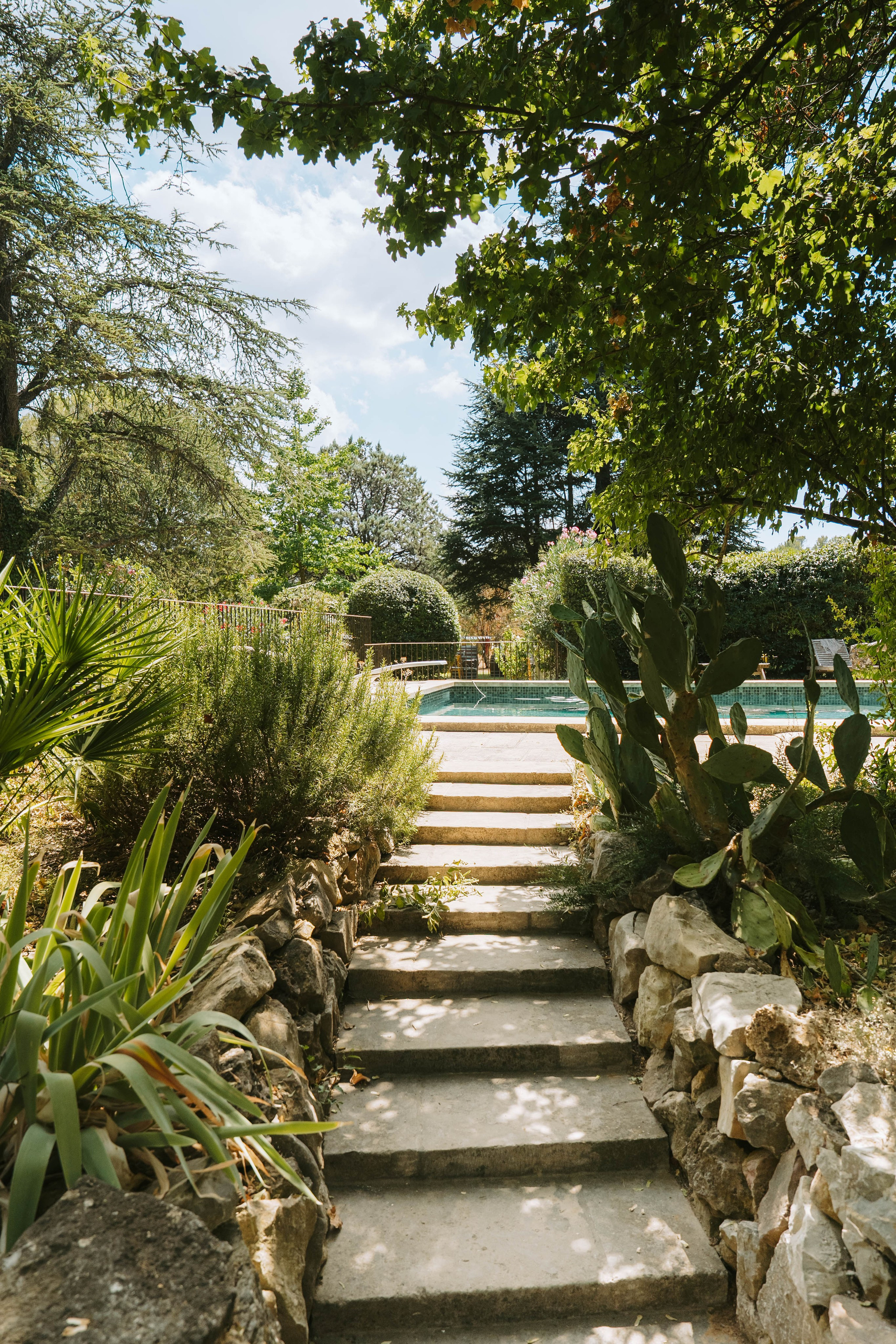 Domaine Gavoty. Weeding photographer / event / portrait