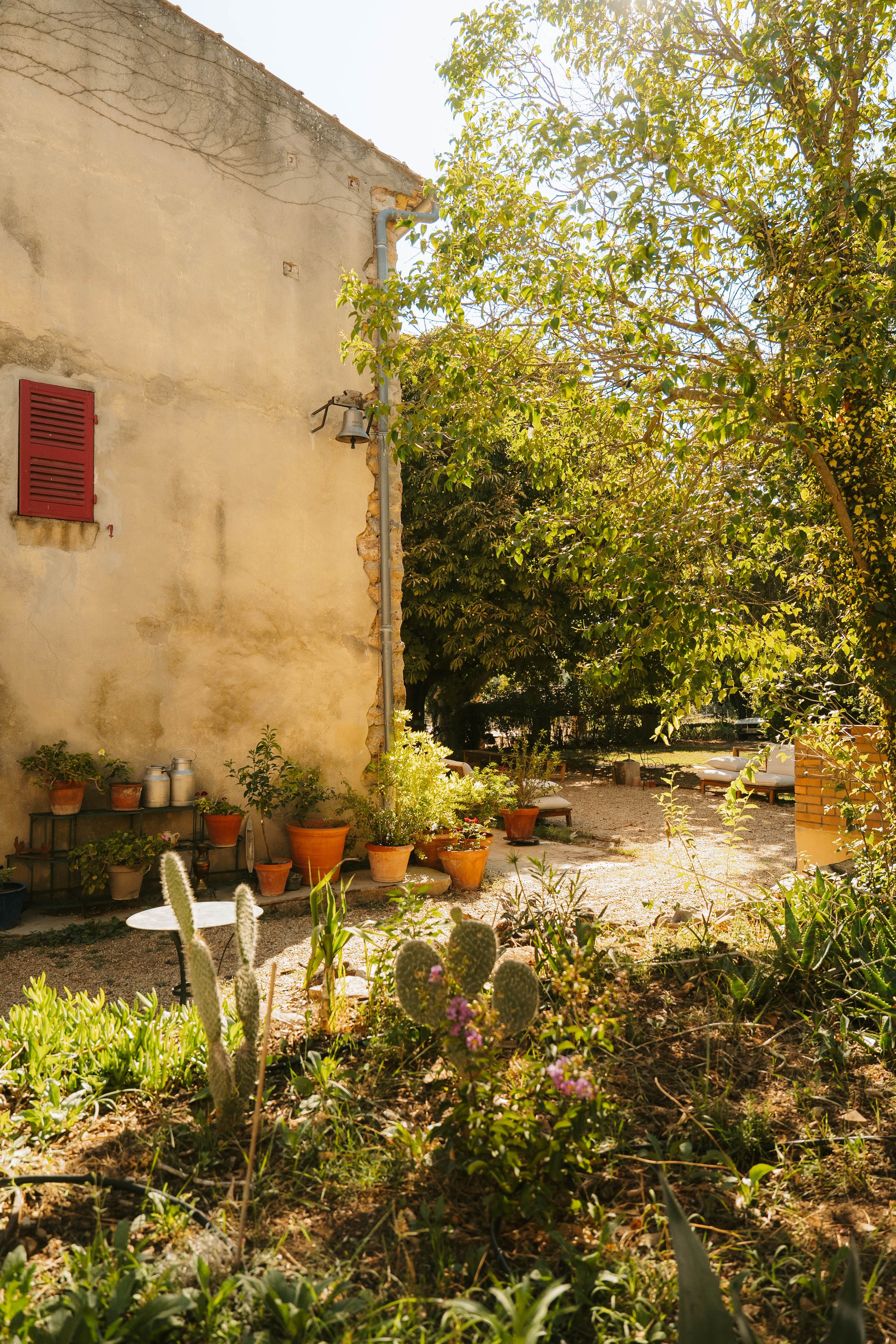Domaine Gavoty. Weeding photographer / event / portrait
