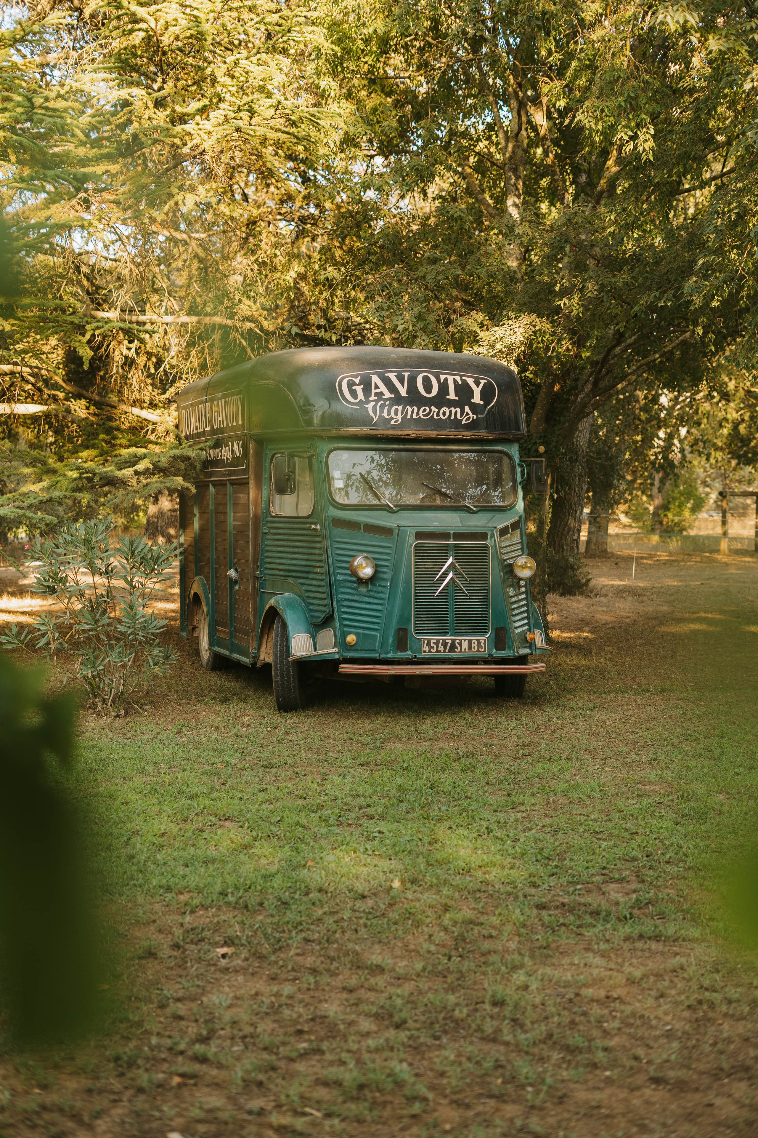 Domaine Gavoty. Weeding photographer / event / portrait
