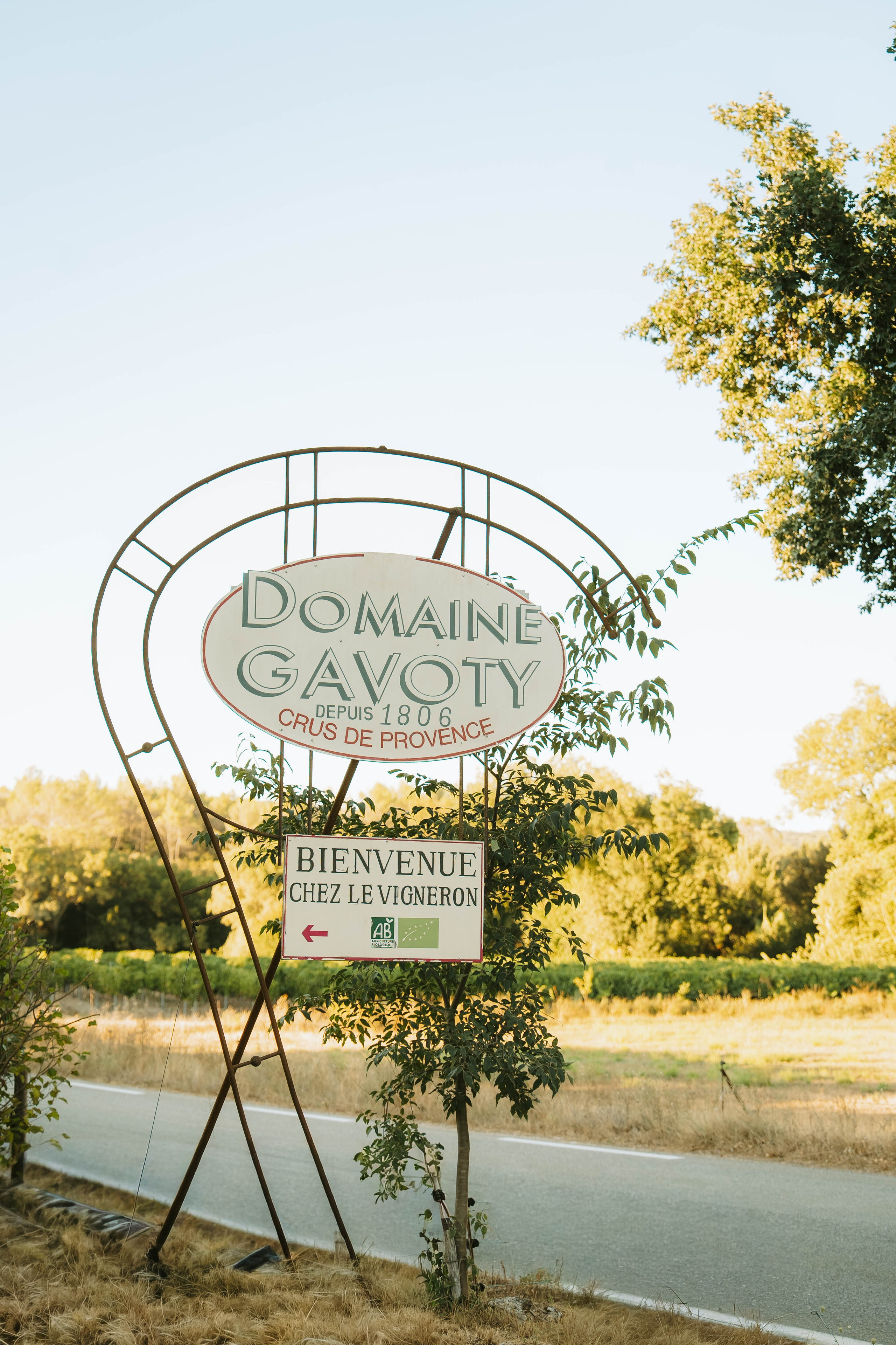 Domaine Gavoty. Weeding photographer / event / portrait