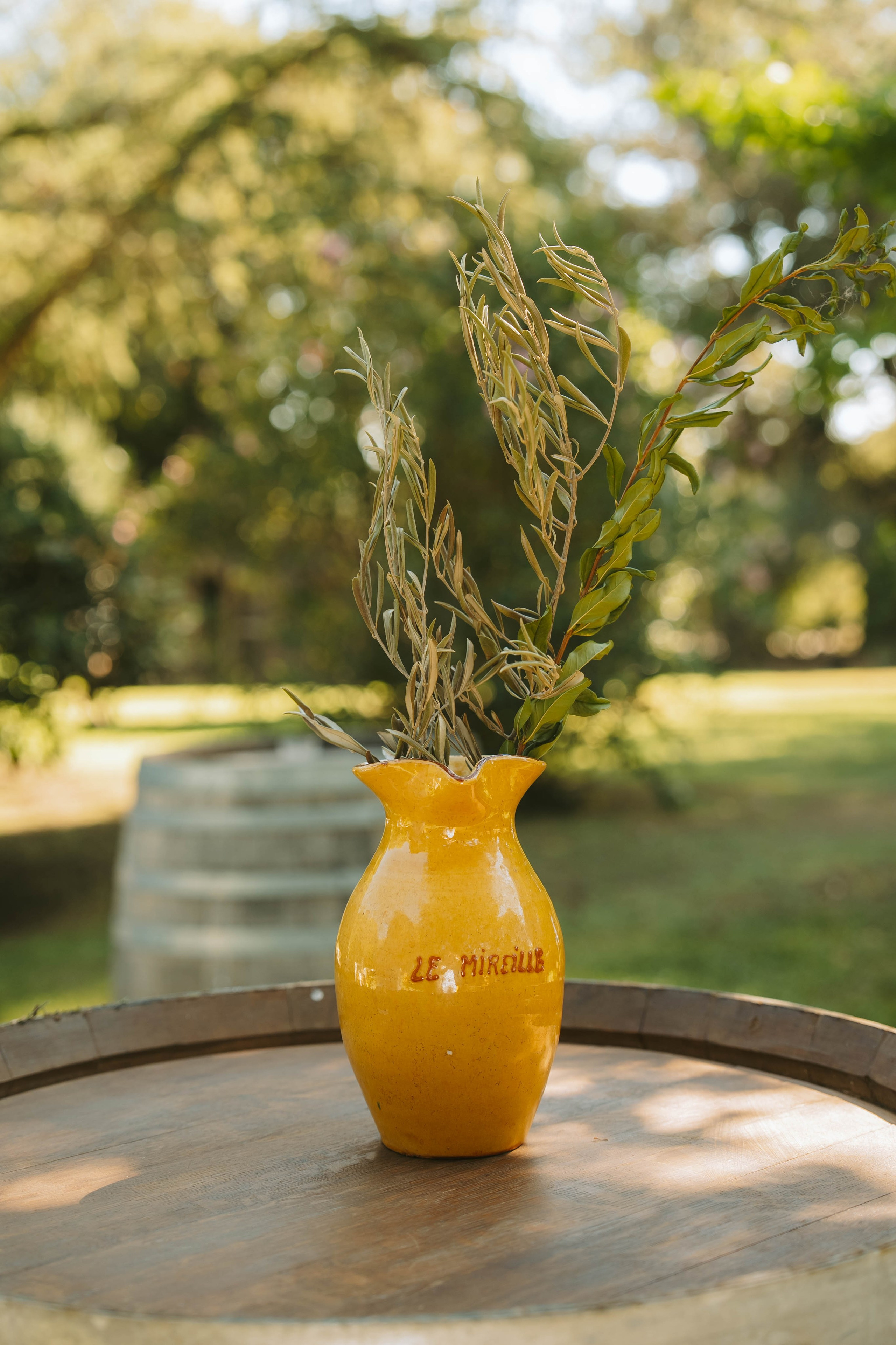 Domaine Gavoty. Weeding photographer / event / portrait